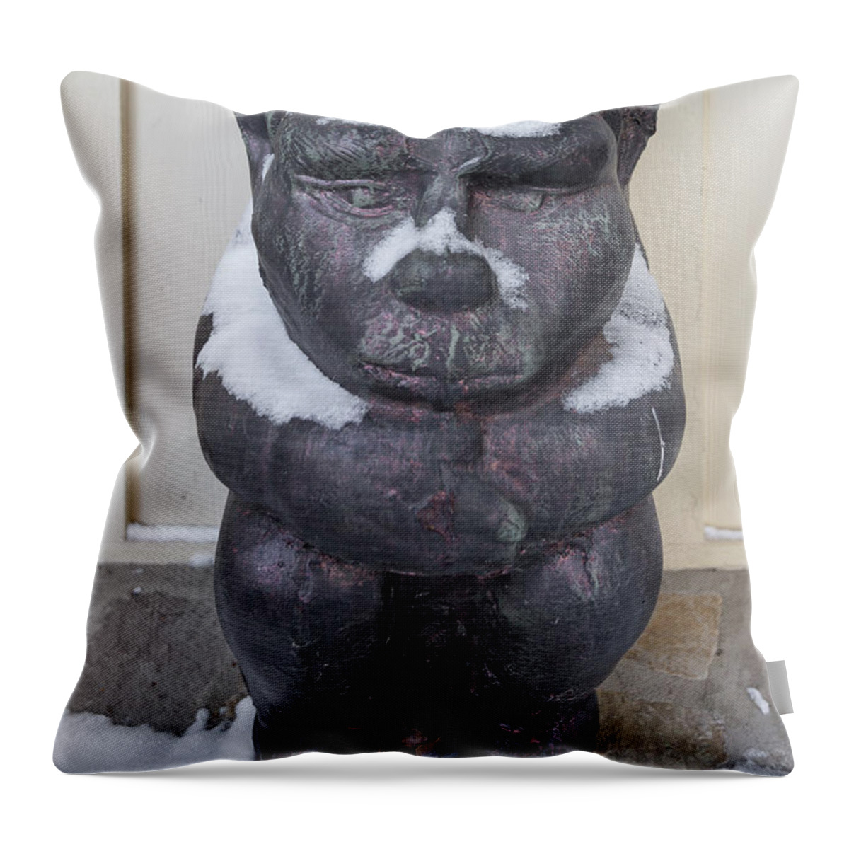 Chimera Throw Pillow featuring the photograph Snow Covered Chimera by D K Wall