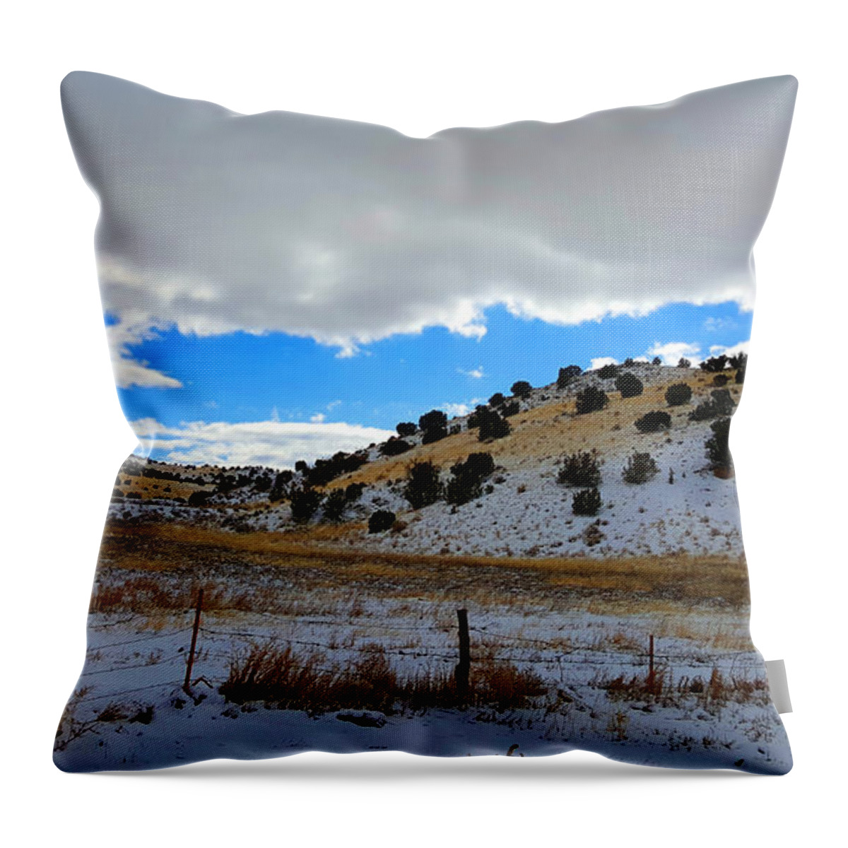 Southwest Landscape Throw Pillow featuring the photograph Snow in the Desert by Robert WK Clark