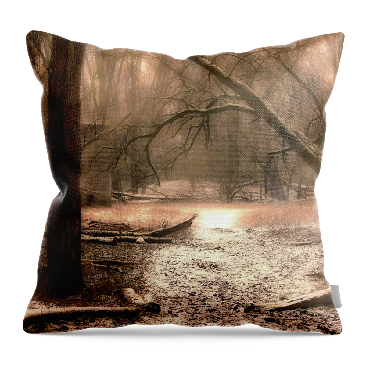 Gelderland Throw Pillow featuring the photograph Snow in the forest - Color by Tim Abeln