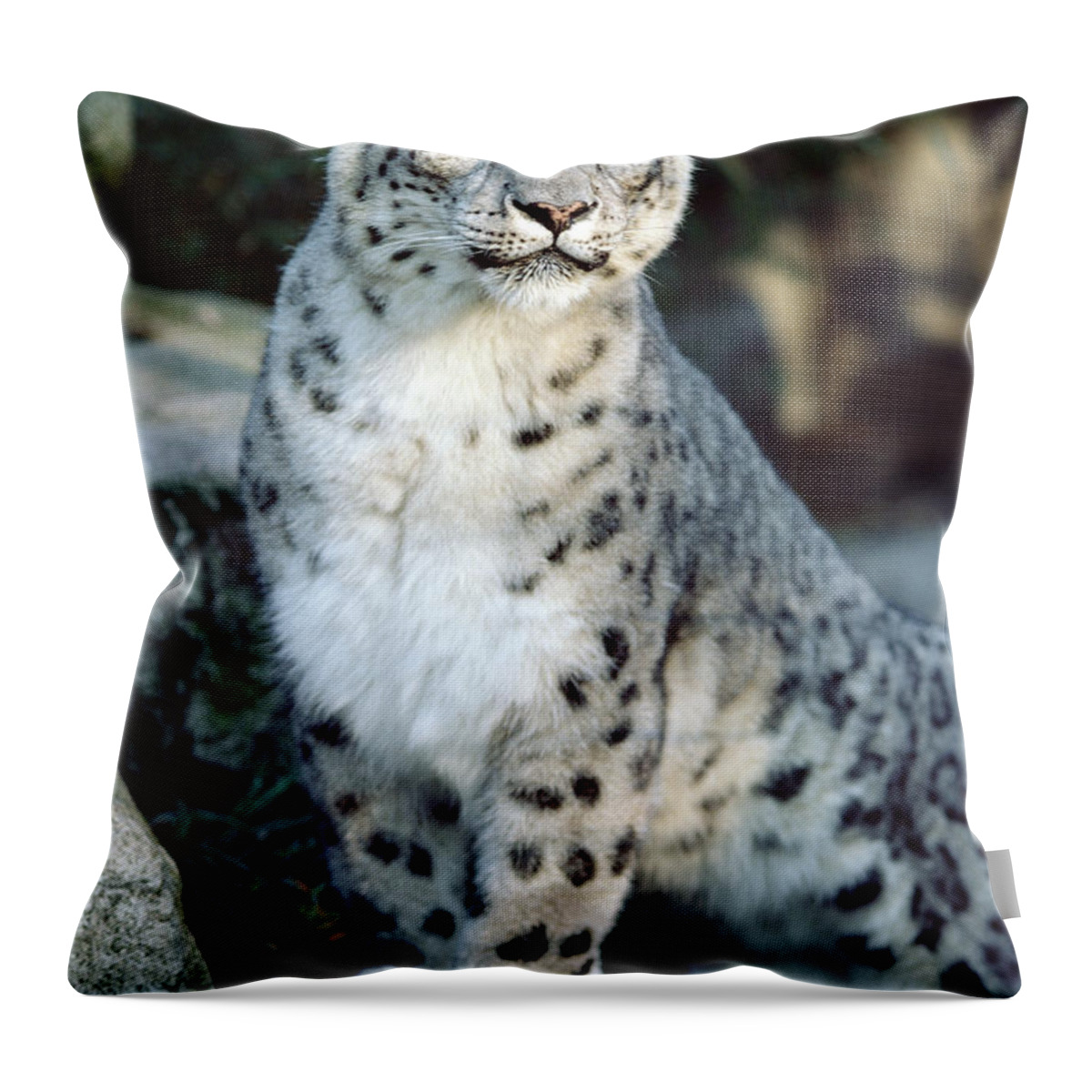 Mp Throw Pillow featuring the photograph Snow Leopard Uncia Uncia Portrait by Gerry Ellis