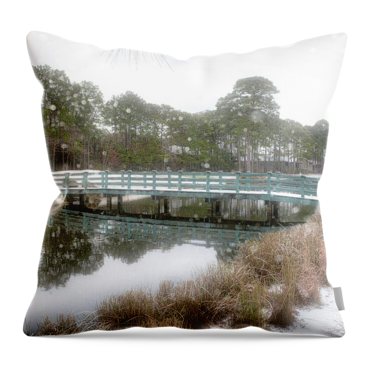 Scenic Throw Pillow featuring the photograph Snow Storm 1 by Kathy Baccari