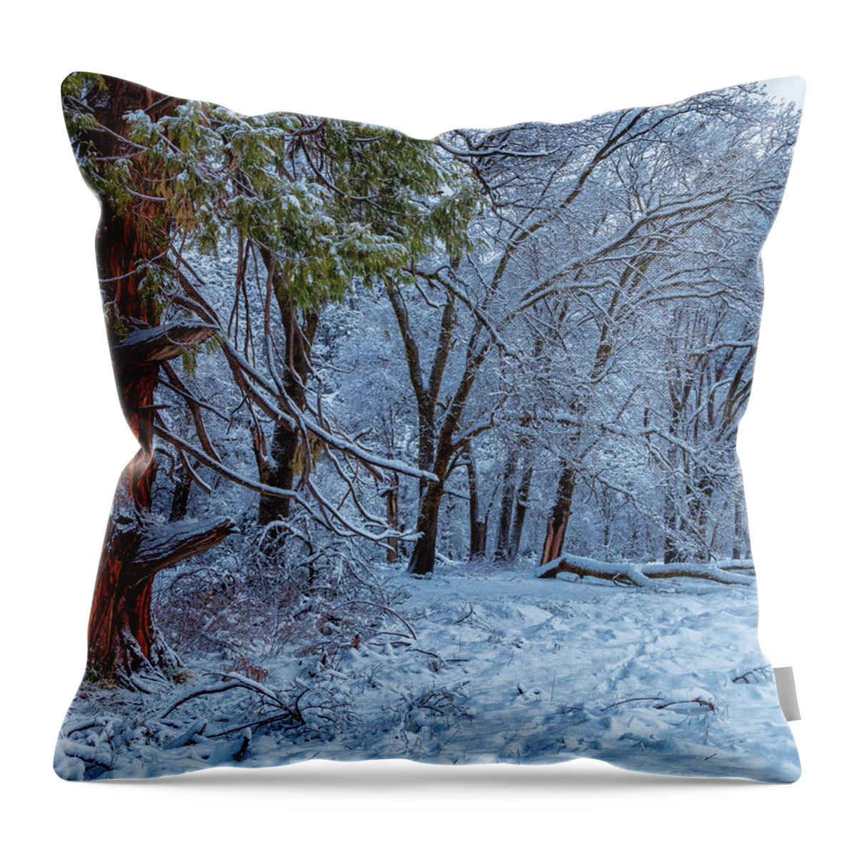 Landscape Throw Pillow featuring the photograph Snow Trees by Jonathan Nguyen