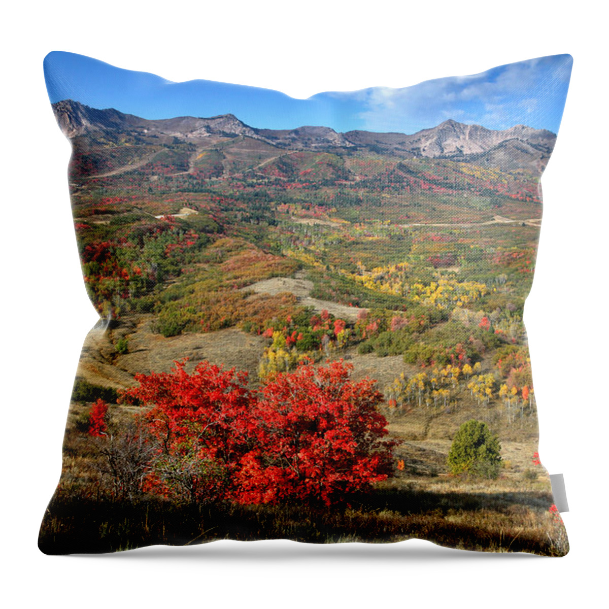 Snowbasin Throw Pillow featuring the photograph Snowbasin and Autumn Colors by Brett Pelletier