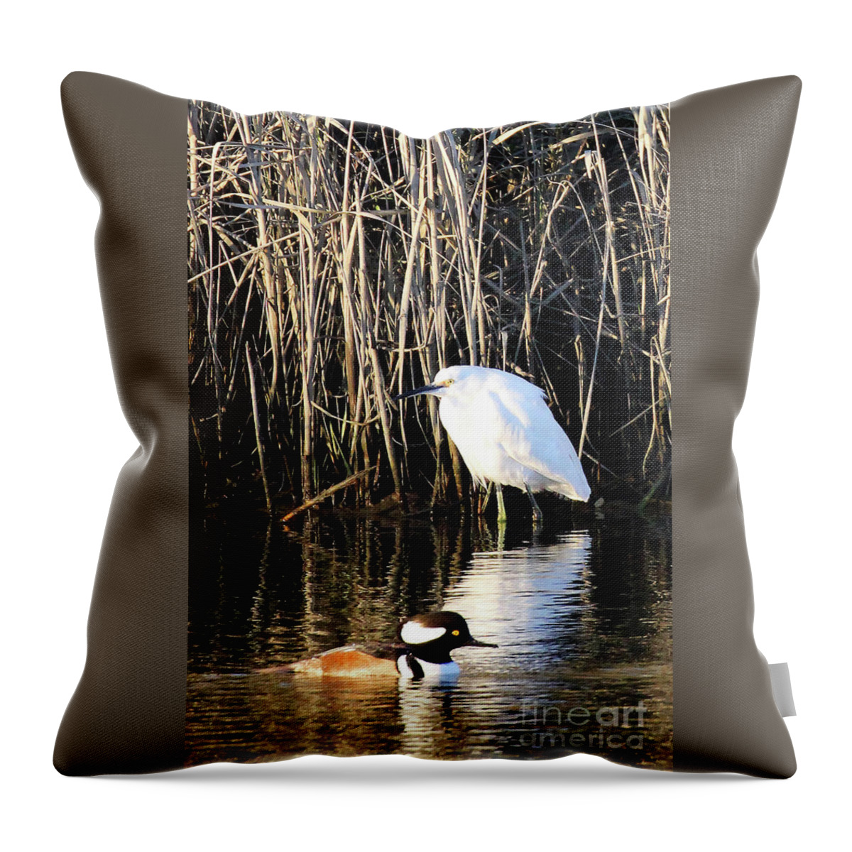 Snowy Egret And A Guy From The Hood Throw Pillow featuring the photograph Snowy Egret and a Guy from the Hood by Jennifer Robin
