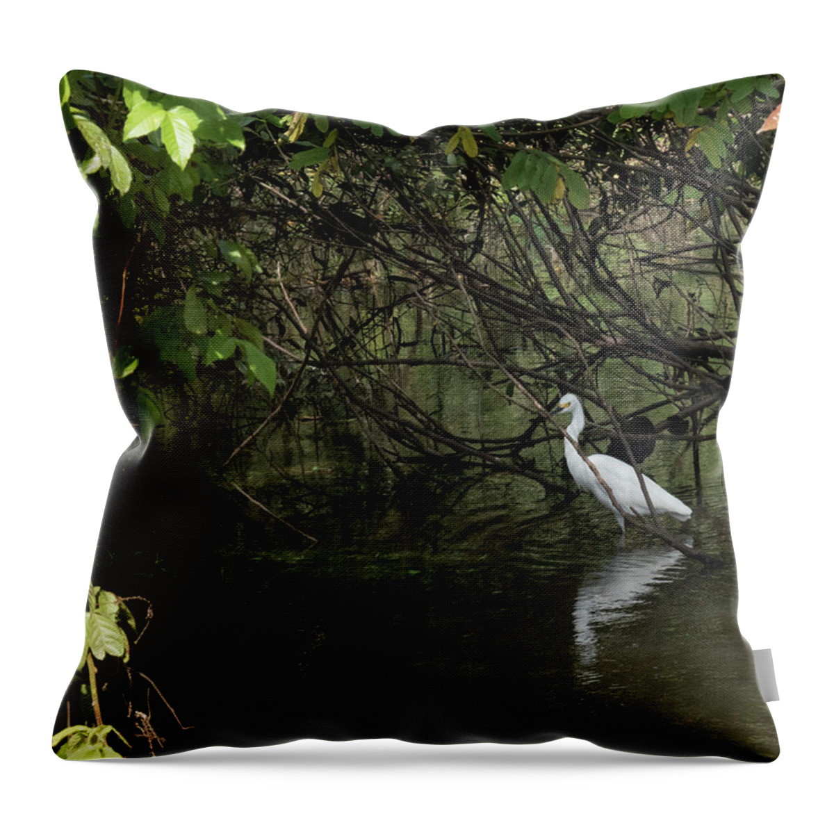 Egret Throw Pillow featuring the photograph Snowy Egret by Jessica Levant