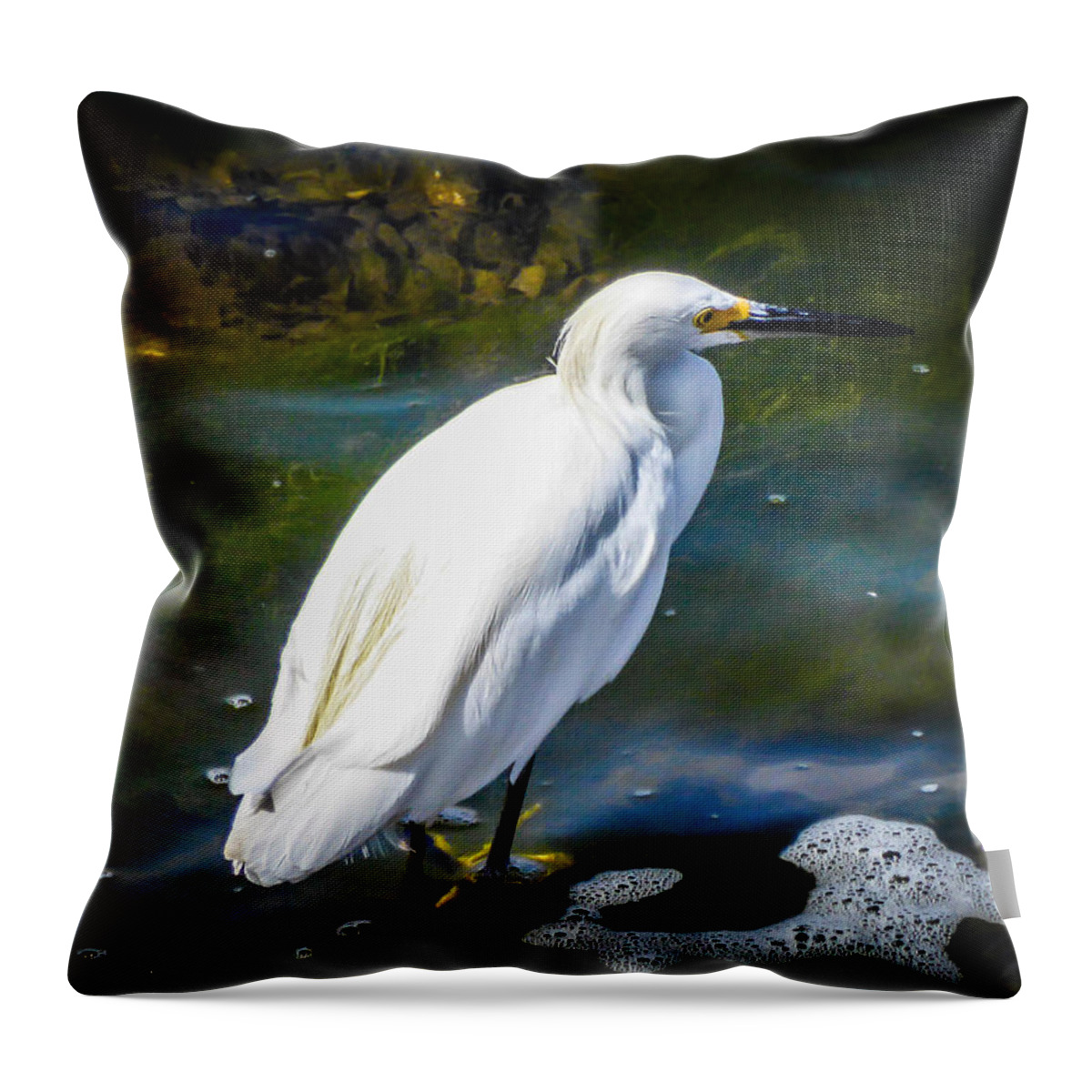 Snowy Egret Throw Pillow featuring the photograph Snowy Egret by Pamela Newcomb