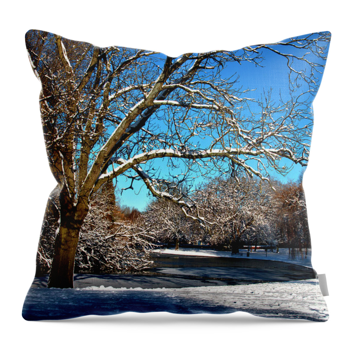 Landscape Throw Pillow featuring the photograph Snowy Pond by Baggieoldboy