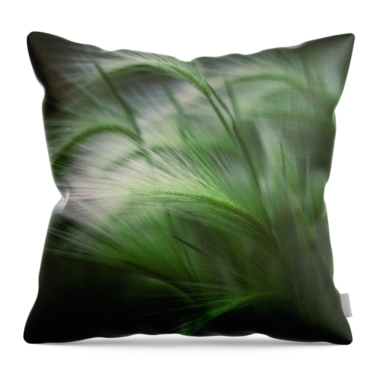 Grass Throw Pillow featuring the photograph Soft Grass by Scott Norris