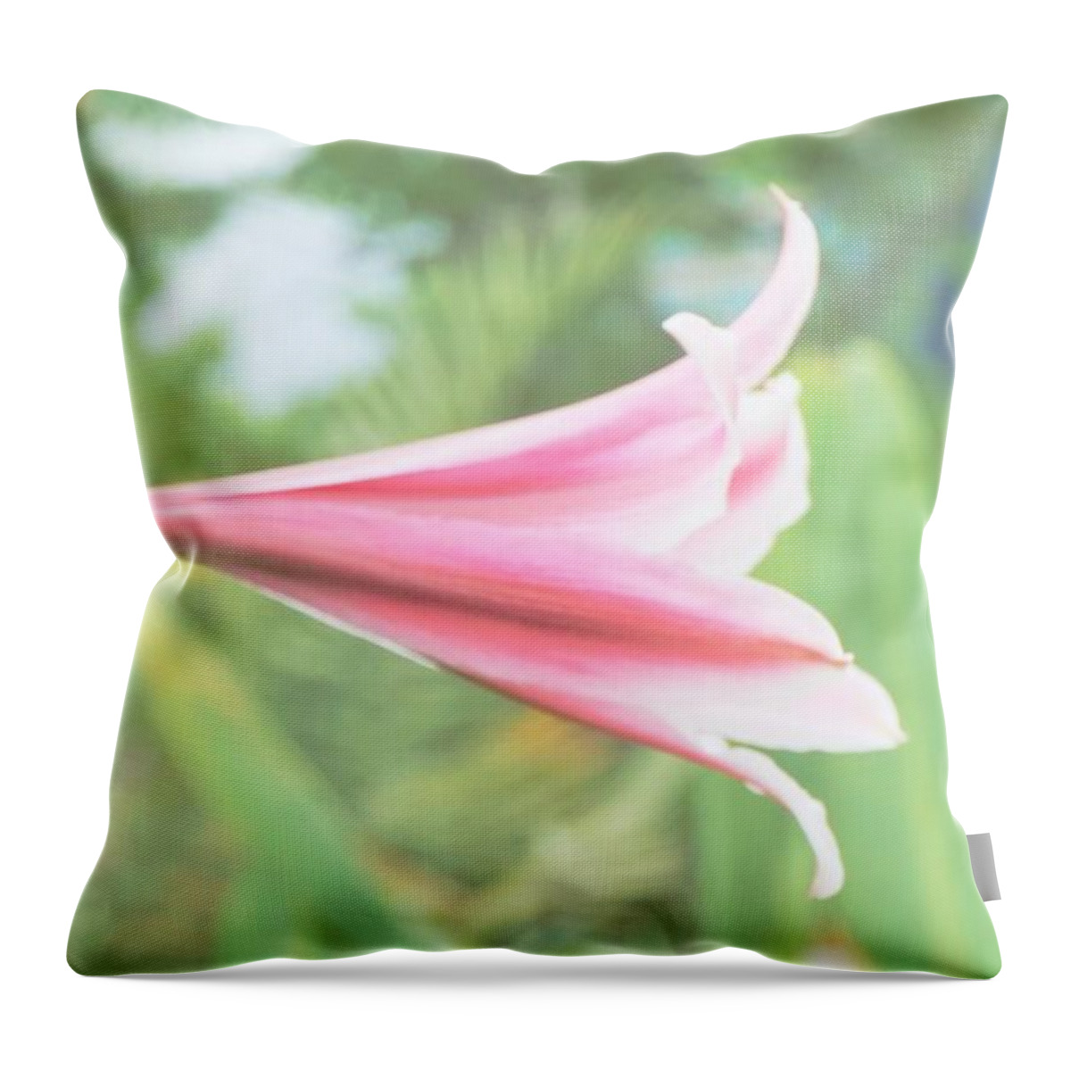 Flowers Throw Pillow featuring the photograph Softly colored by Merle Grenz