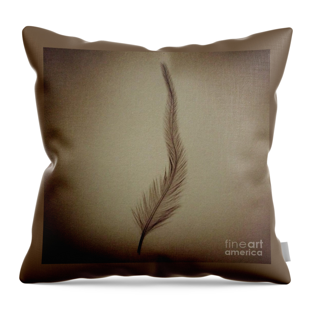 Feather Throw Pillow featuring the photograph Softly by Denise Railey