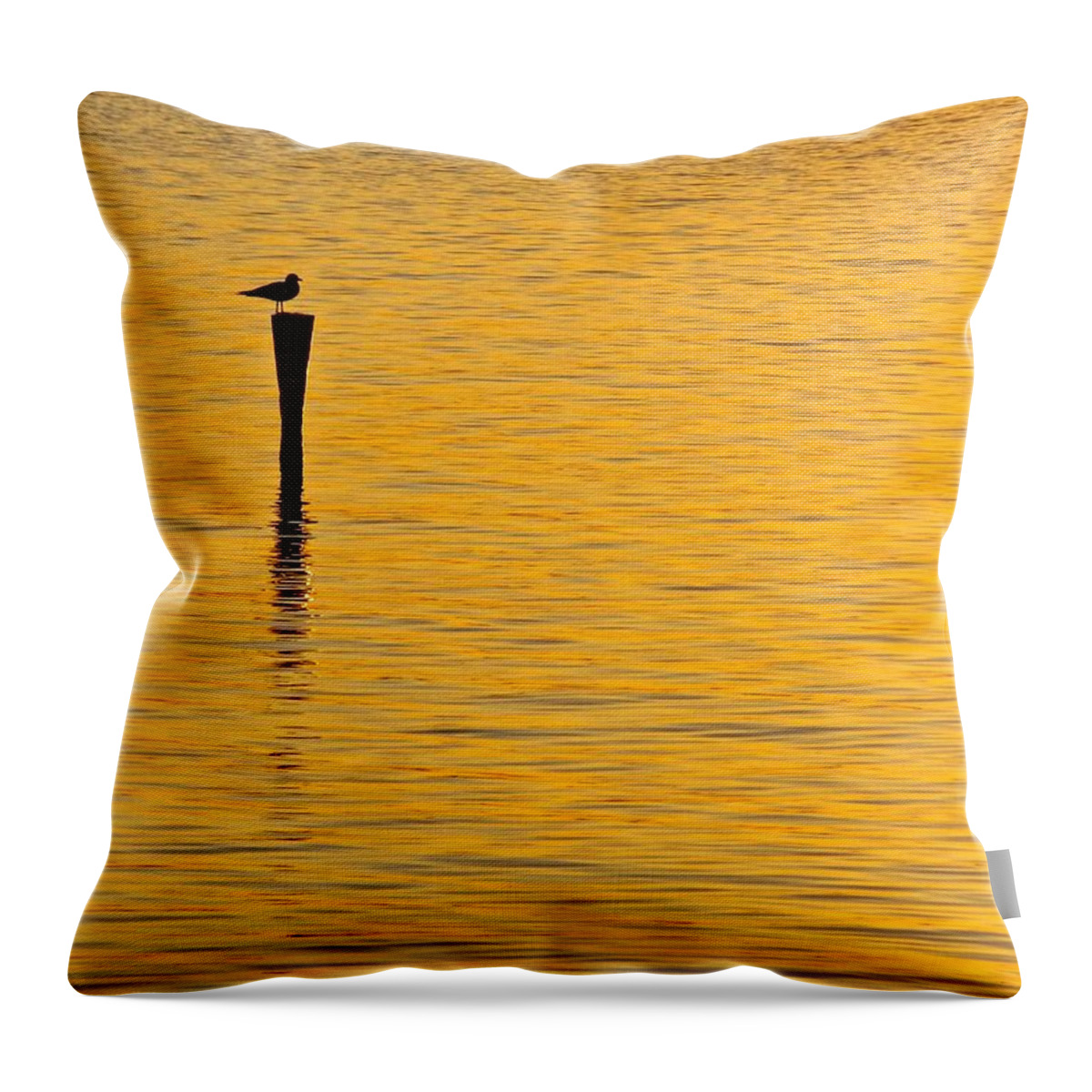 Sea Gull Throw Pillow featuring the photograph Solitude by Mike Reilly