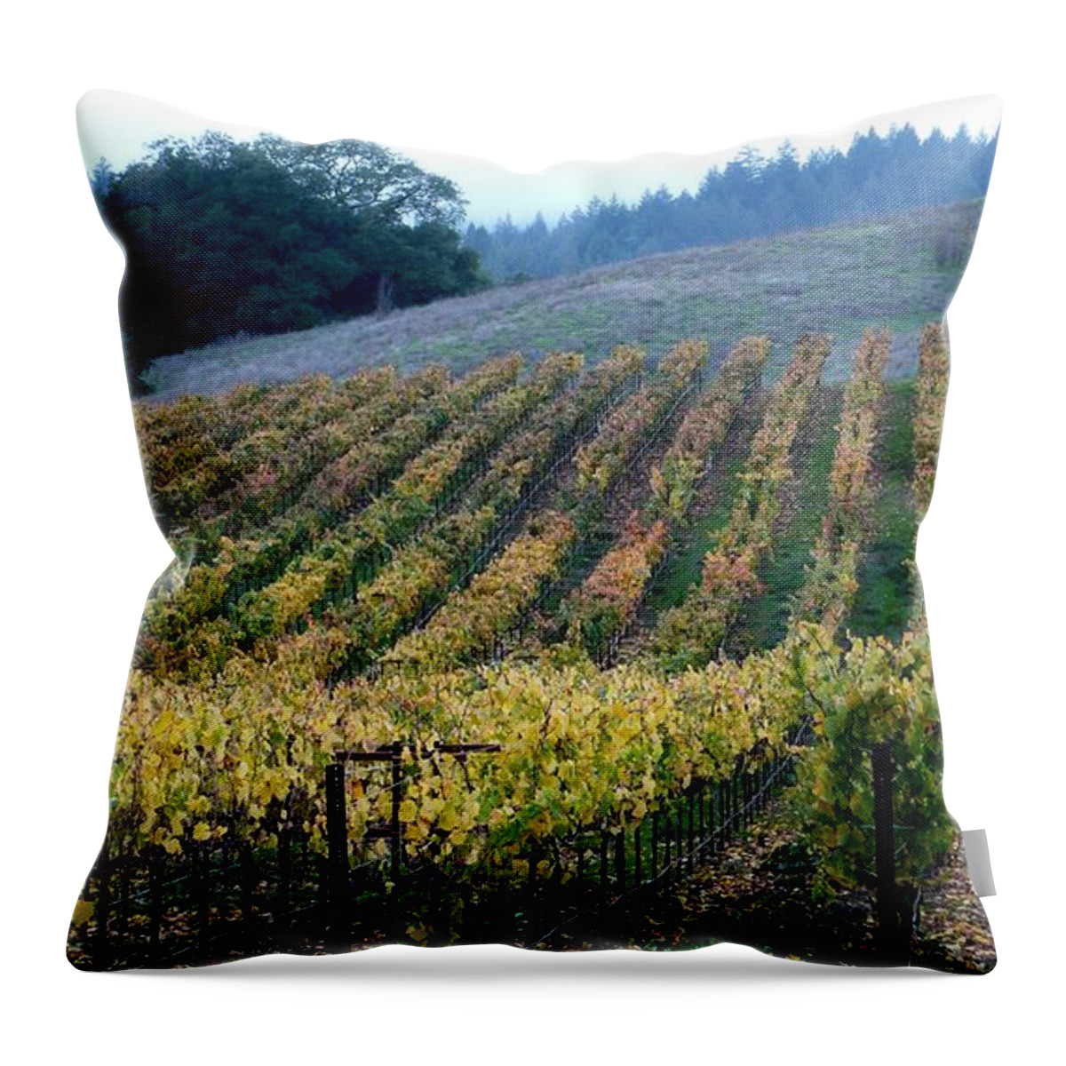 Vineyards Throw Pillow featuring the photograph Sonoma County Vineyards Near Healdsburg by Charlene Mitchell