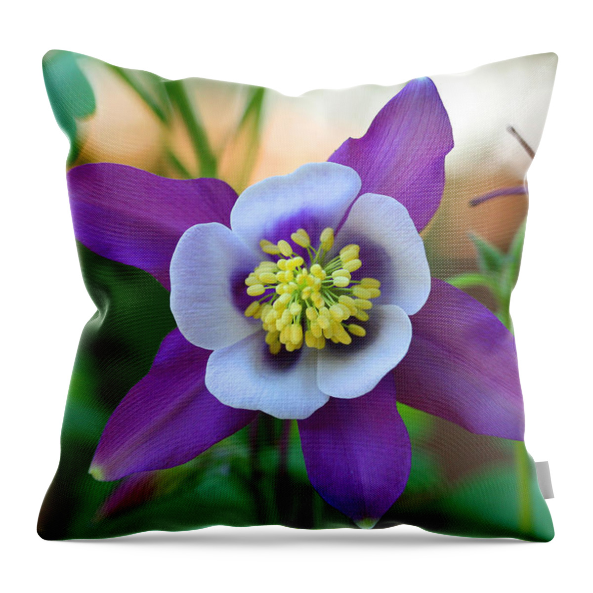 Purple Throw Pillow featuring the photograph Sophisticated Columbine by Tammy Pool
