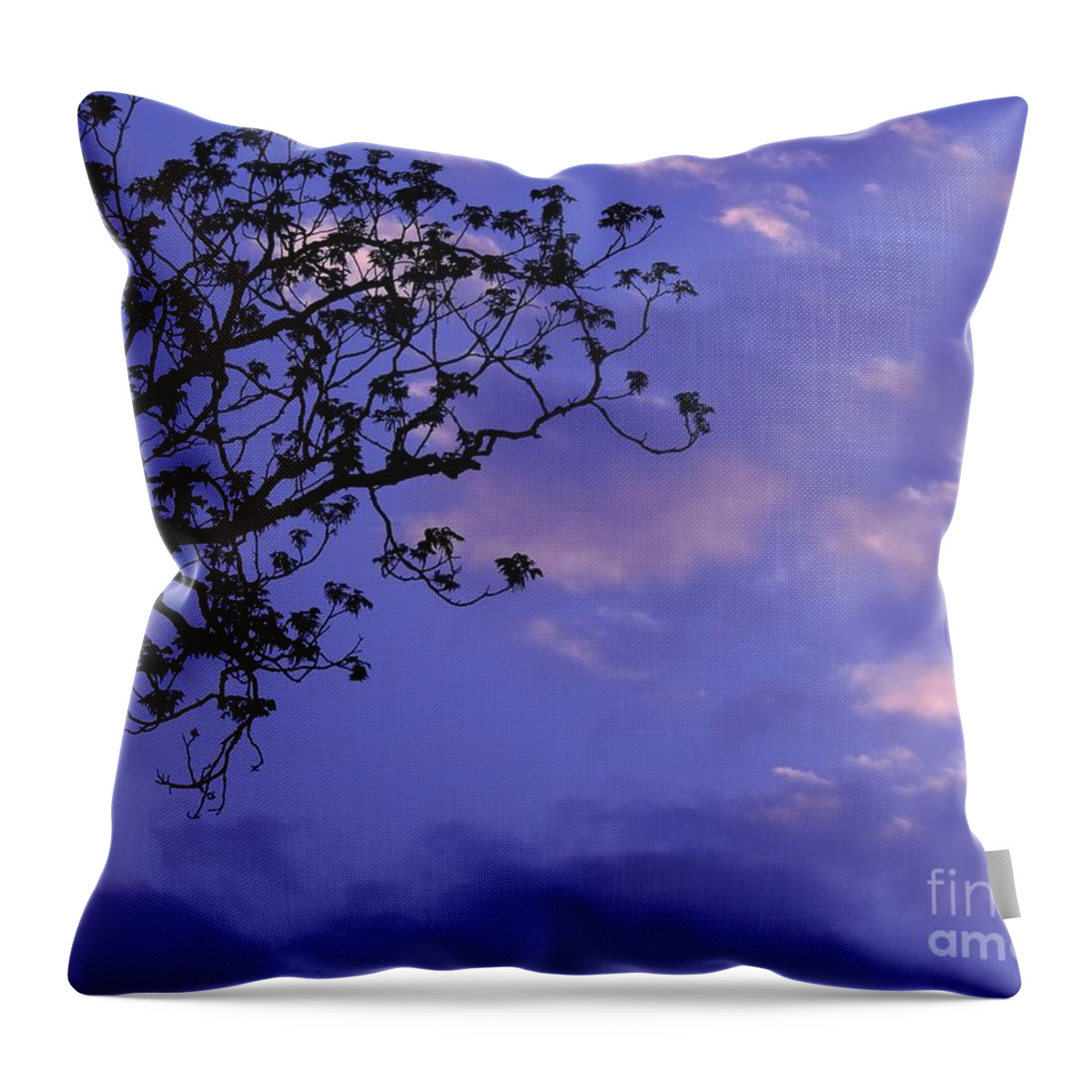 Clouds Throw Pillow featuring the photograph Southern Sky At Dusk by Jan Gelders