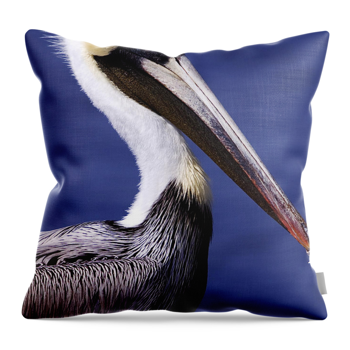 Southport Throw Pillow featuring the photograph Southport Pelican 2 by Nick Noble