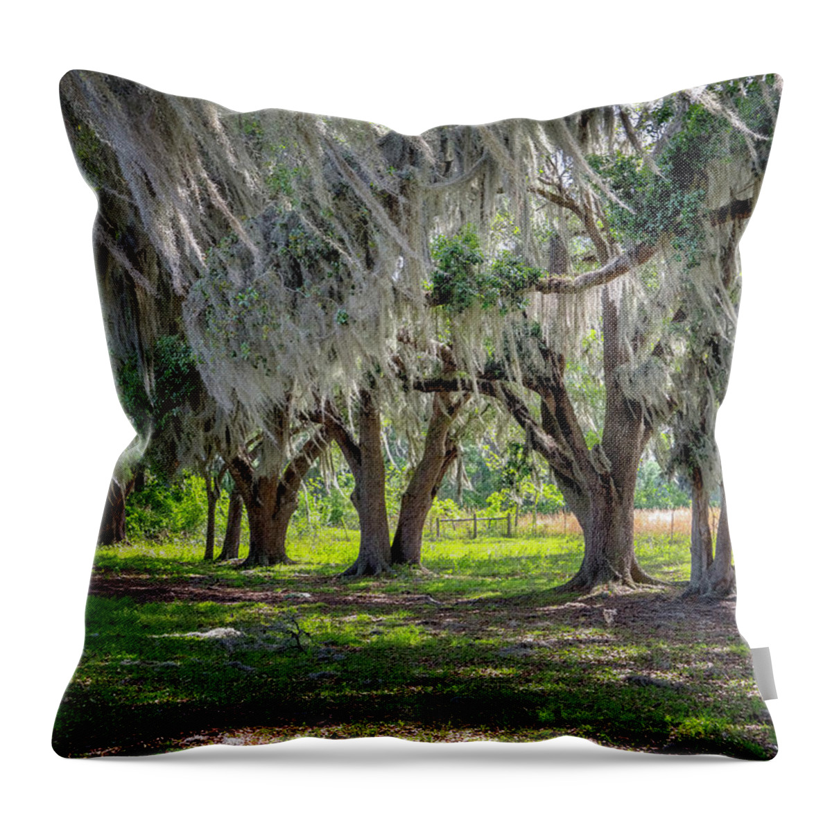 North Port Florida Throw Pillow featuring the photograph Spanish Moss by Tom Singleton