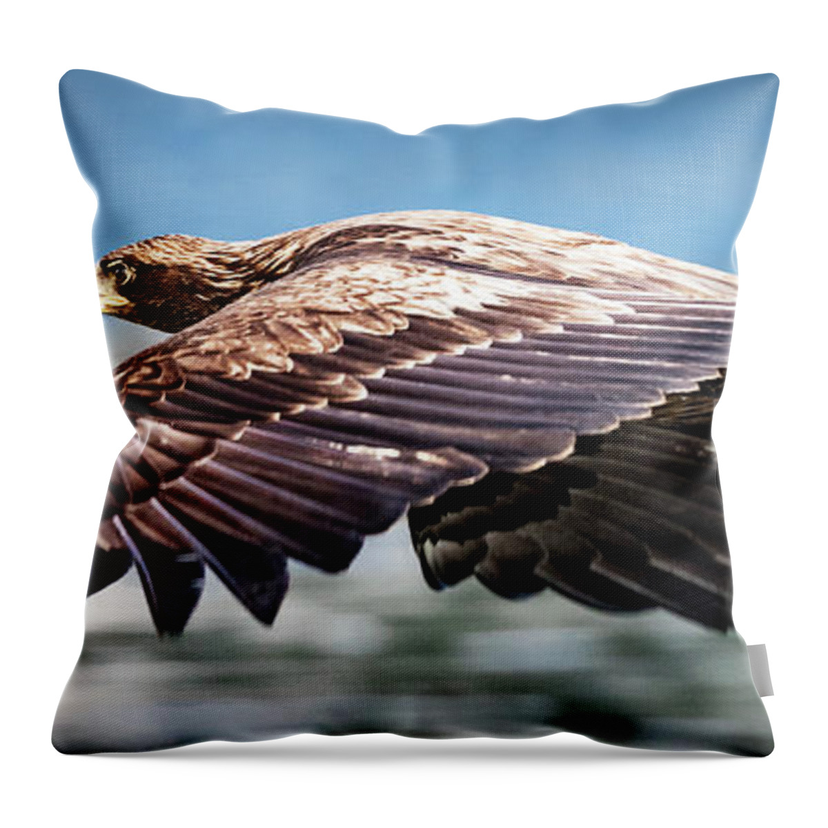 Bird Throw Pillow featuring the photograph Speeding by Bruce Bonnett