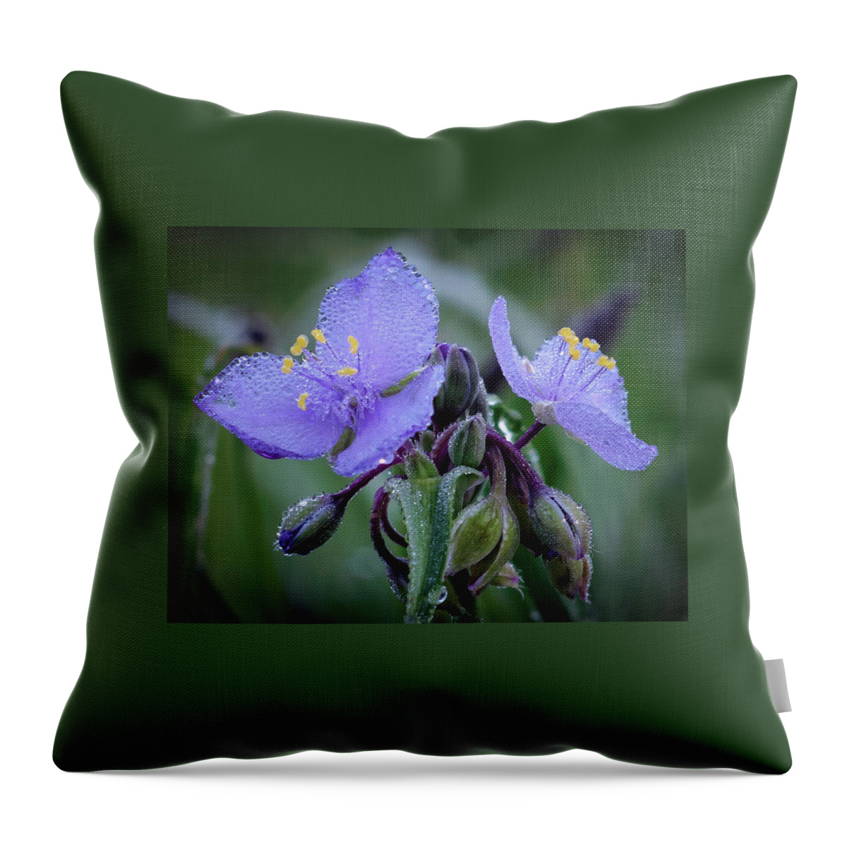 Tradescantia Throw Pillow featuring the photograph Spiderwort by James Barber