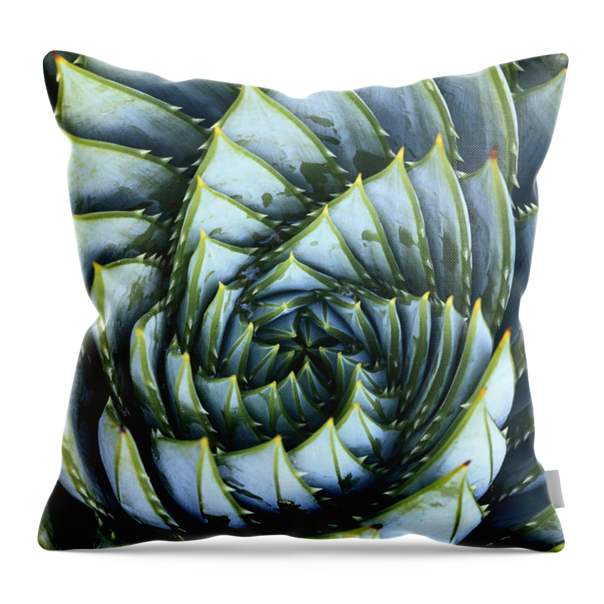 Spiral Throw Pillow featuring the photograph Spiral Aloe by Saxon Holt