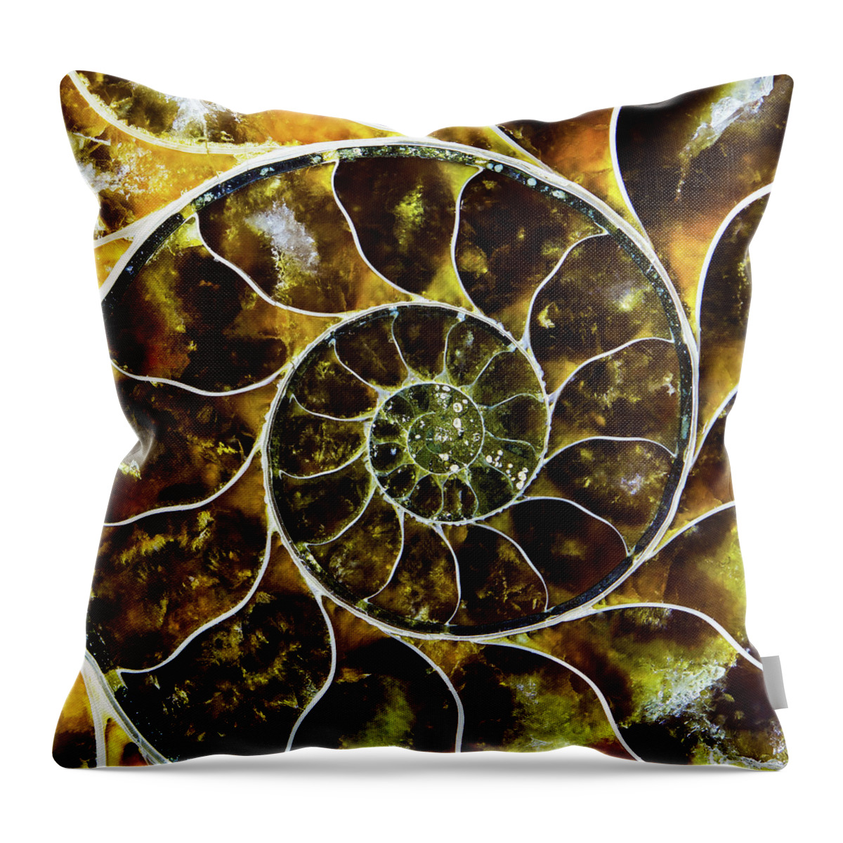 Fine Art Photography Throw Pillow featuring the photograph Spiral Staircase by John Strong