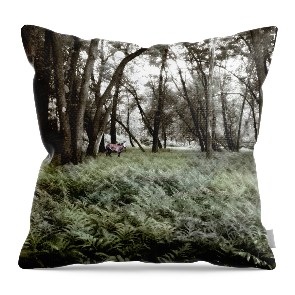Spring Throw Pillow featuring the photograph Spirit Pony in a Floodplain Fernwood by Wayne King