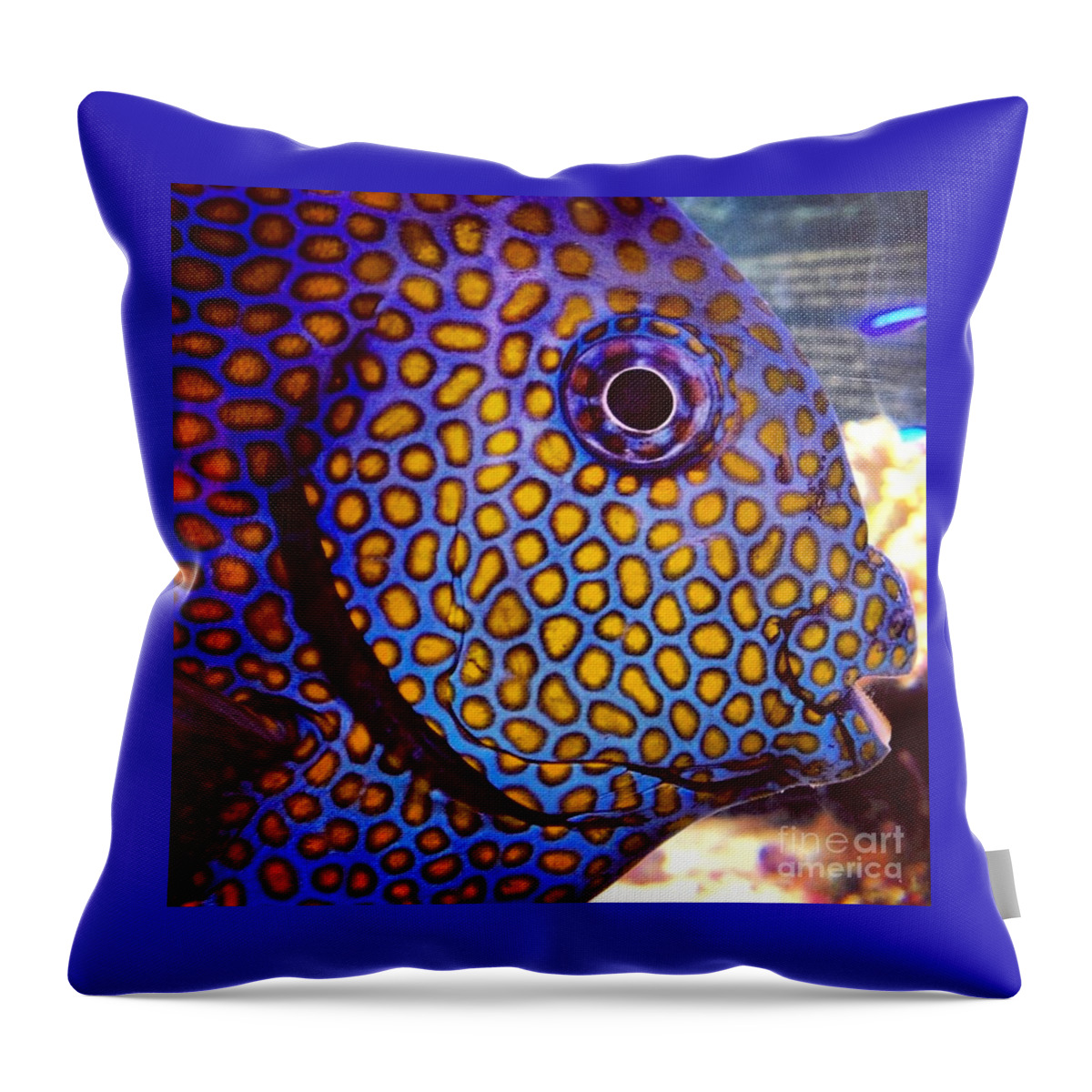Fish Throw Pillow featuring the photograph Spots Galore by Denise Railey