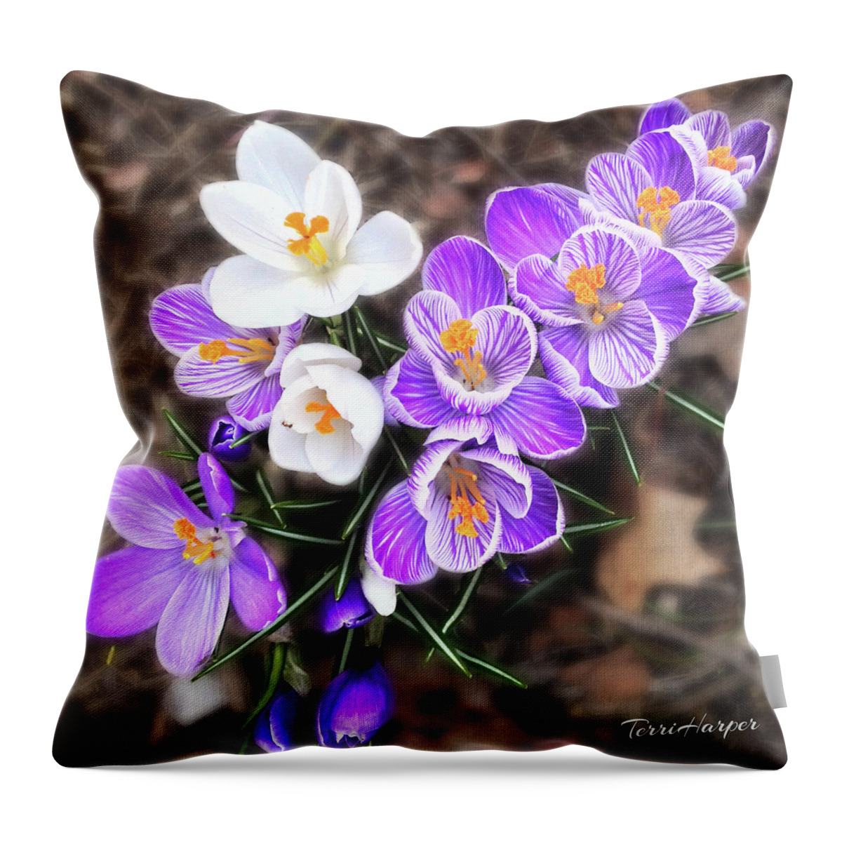 Crocus Throw Pillow featuring the photograph Spring Beauties by Terri Harper