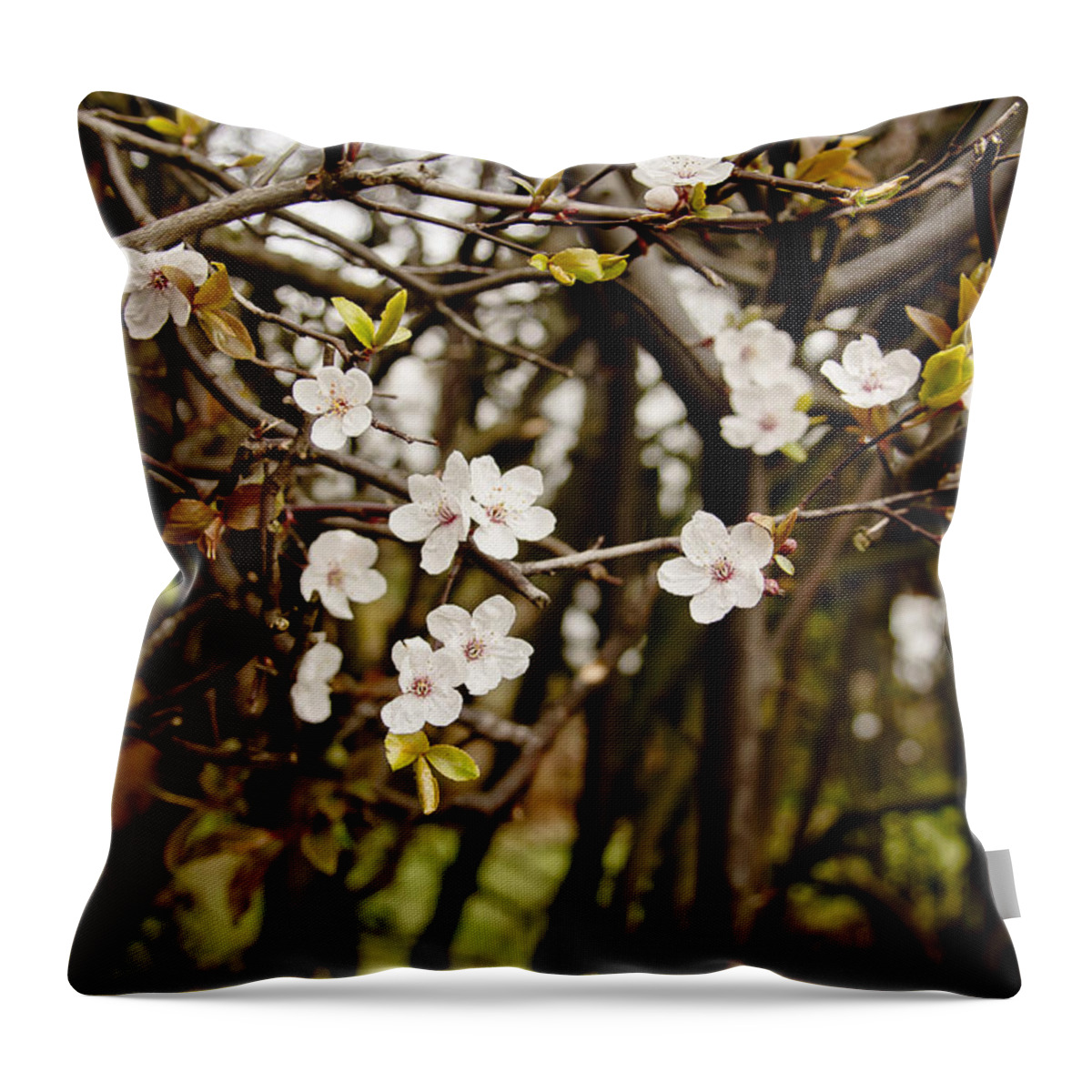 Bare Throw Pillow featuring the photograph Spring bloom. by Elena Perelman