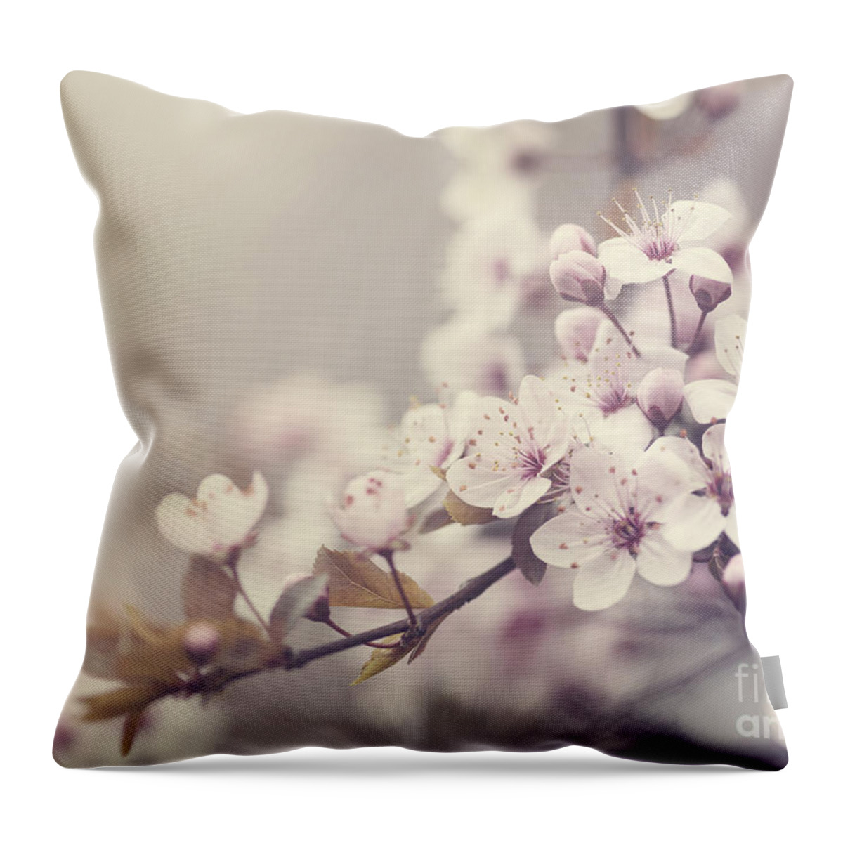 Cherry Throw Pillow featuring the photograph Spring Blossom in pastel colors by Jelena Jovanovic