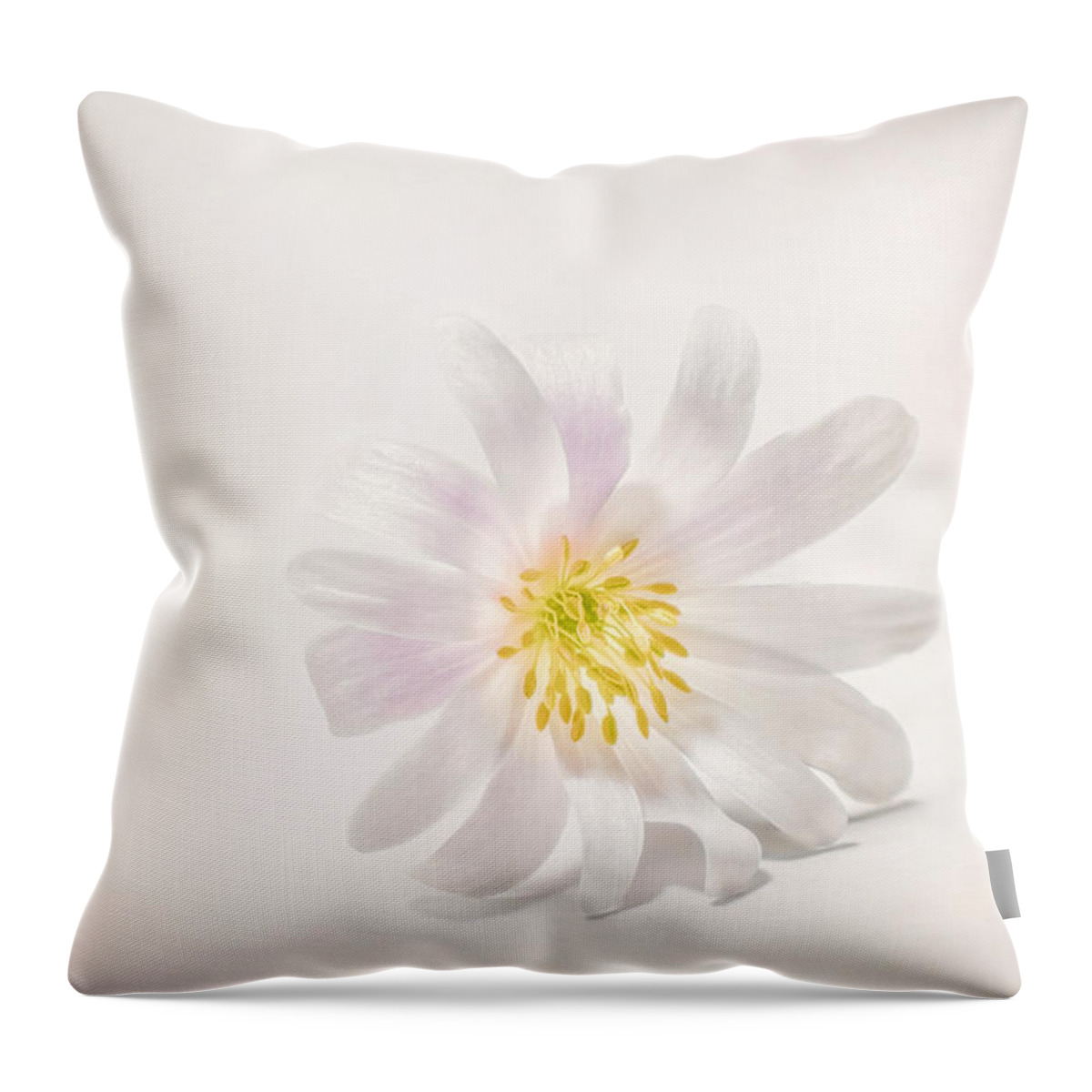 Blossom Throw Pillow featuring the photograph Spring Blossom by Scott Norris