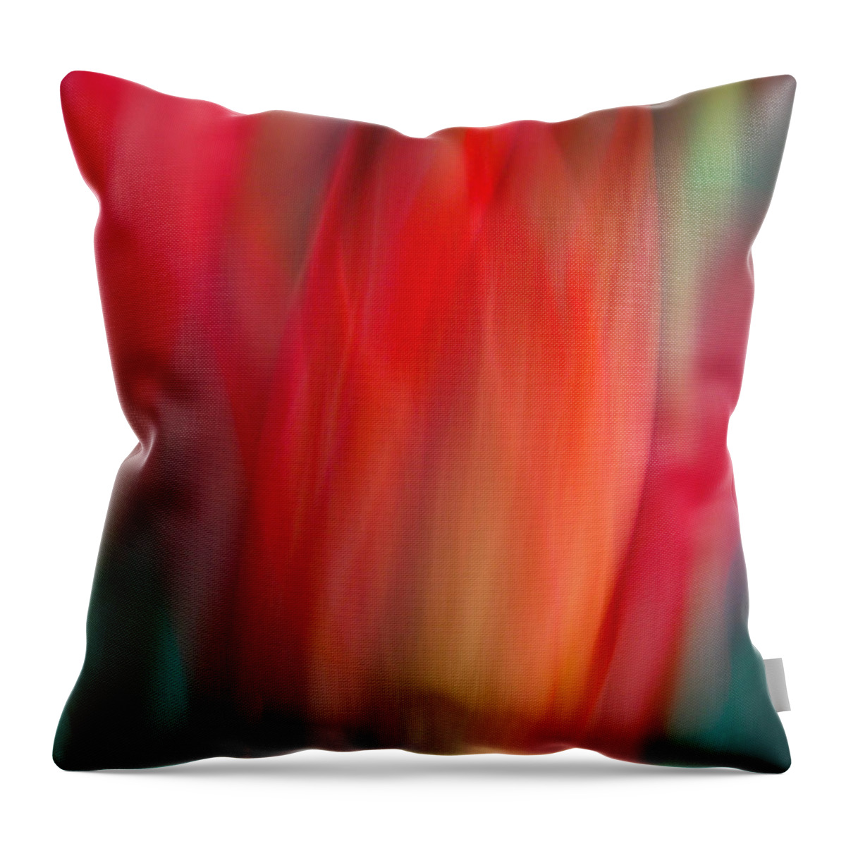 Tulip Throw Pillow featuring the photograph Spring Fling by Neil Shapiro