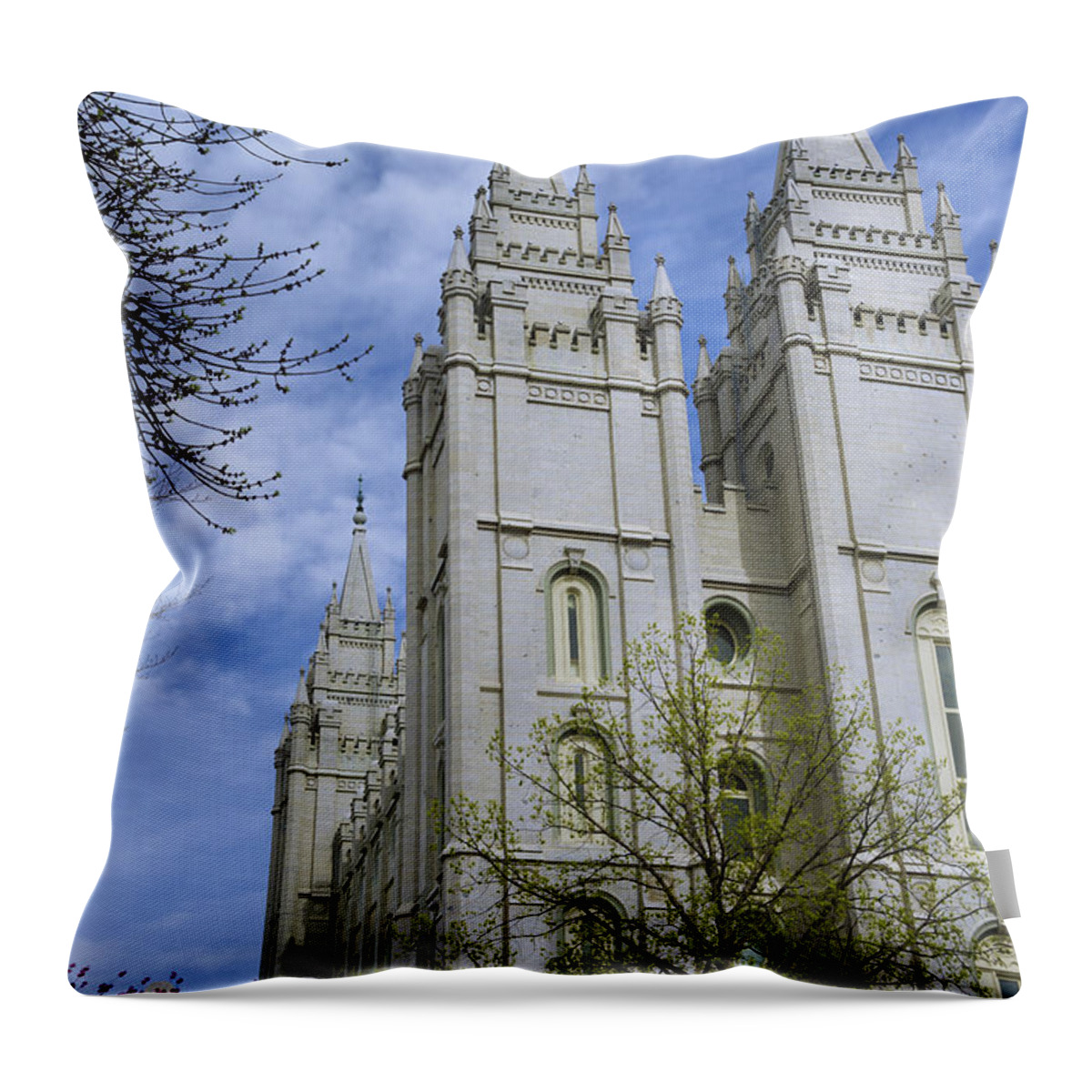 Spring Has Sprung Throw Pillow featuring the photograph Spring Has Sprung by Chad Dutson