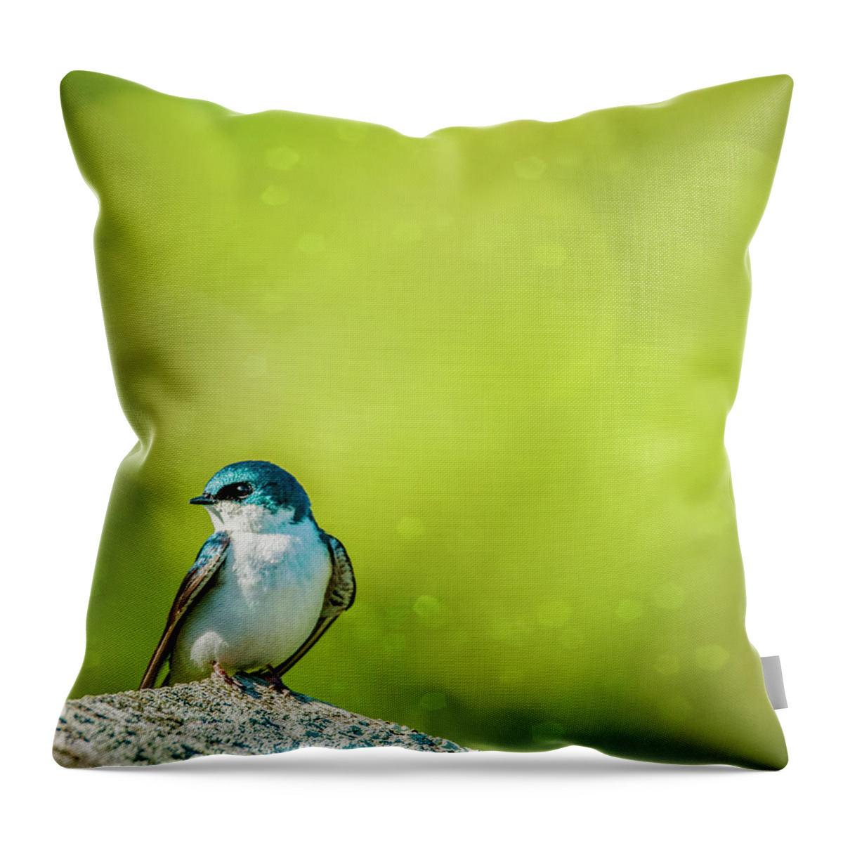 Tree Swallow Throw Pillow featuring the photograph Spring Swallow by Cathy Kovarik