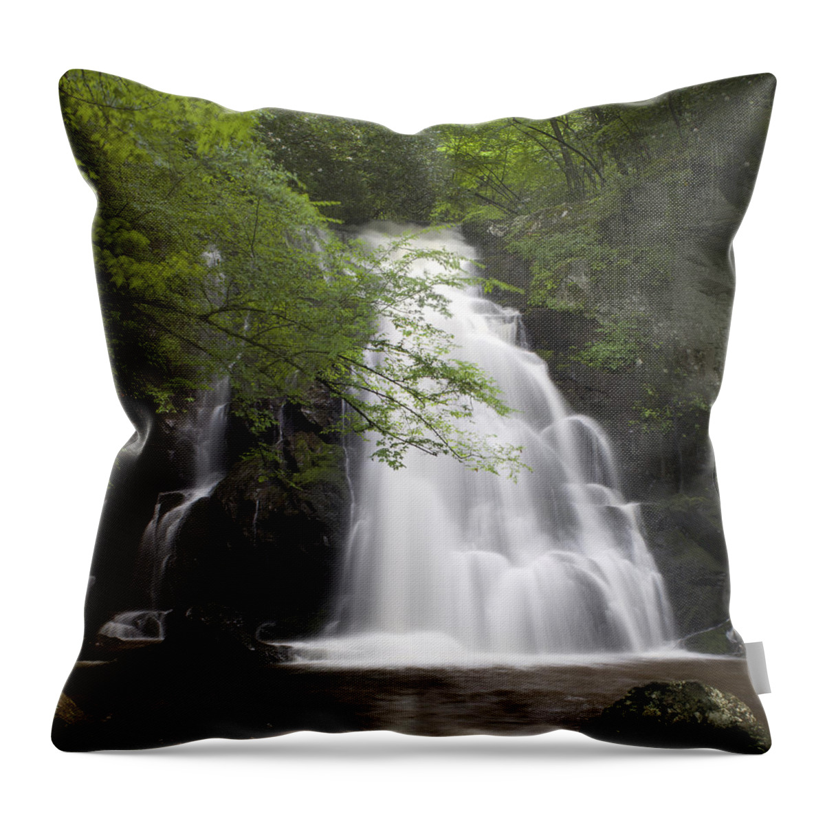 Nunweiler Throw Pillow featuring the photograph Spruce Flats Falls by Nunweiler Photography