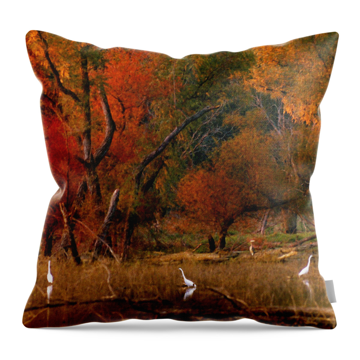 Landscape Throw Pillow featuring the photograph Squaw Creek Egrets by Steve Karol
