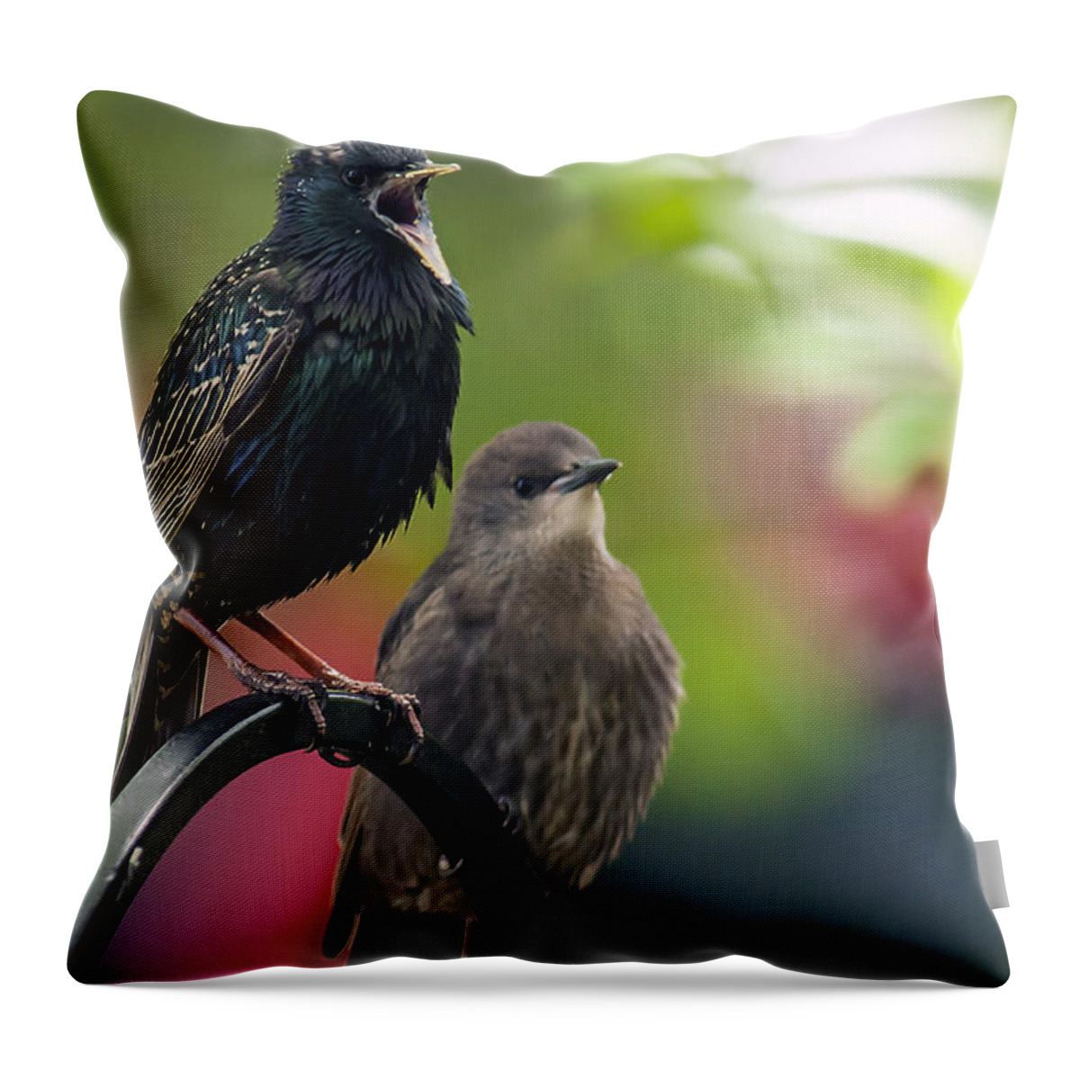 Starling Throw Pillow featuring the photograph Squawker by Cathy Kovarik