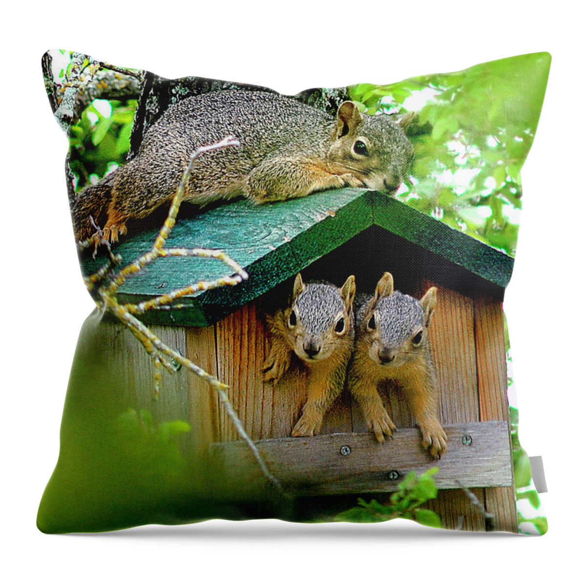 Squirrel Throw Pillow featuring the photograph Squirrel Family Portrait by Ted Keller