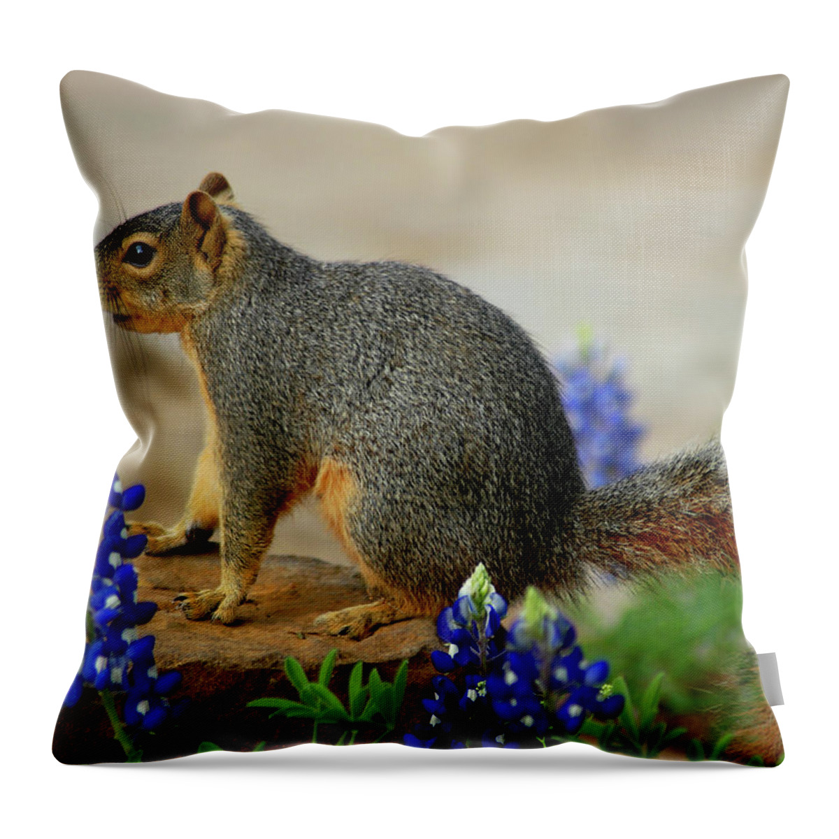 Squirrel Throw Pillow featuring the photograph Squirrel in Texas Bluebonnets by Ted Keller