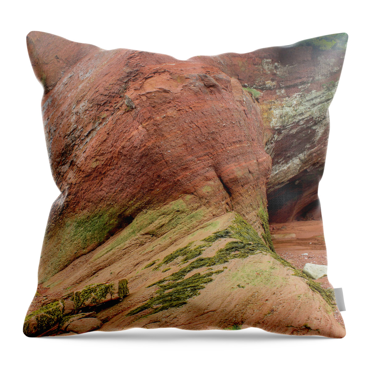 New Brunswick Throw Pillow featuring the photograph St. Martins New Brunswick by Holly Ross