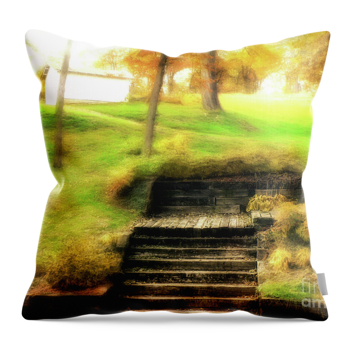 Fine Art Photography Throw Pillow featuring the photograph Stairway to Heaven by John Strong
