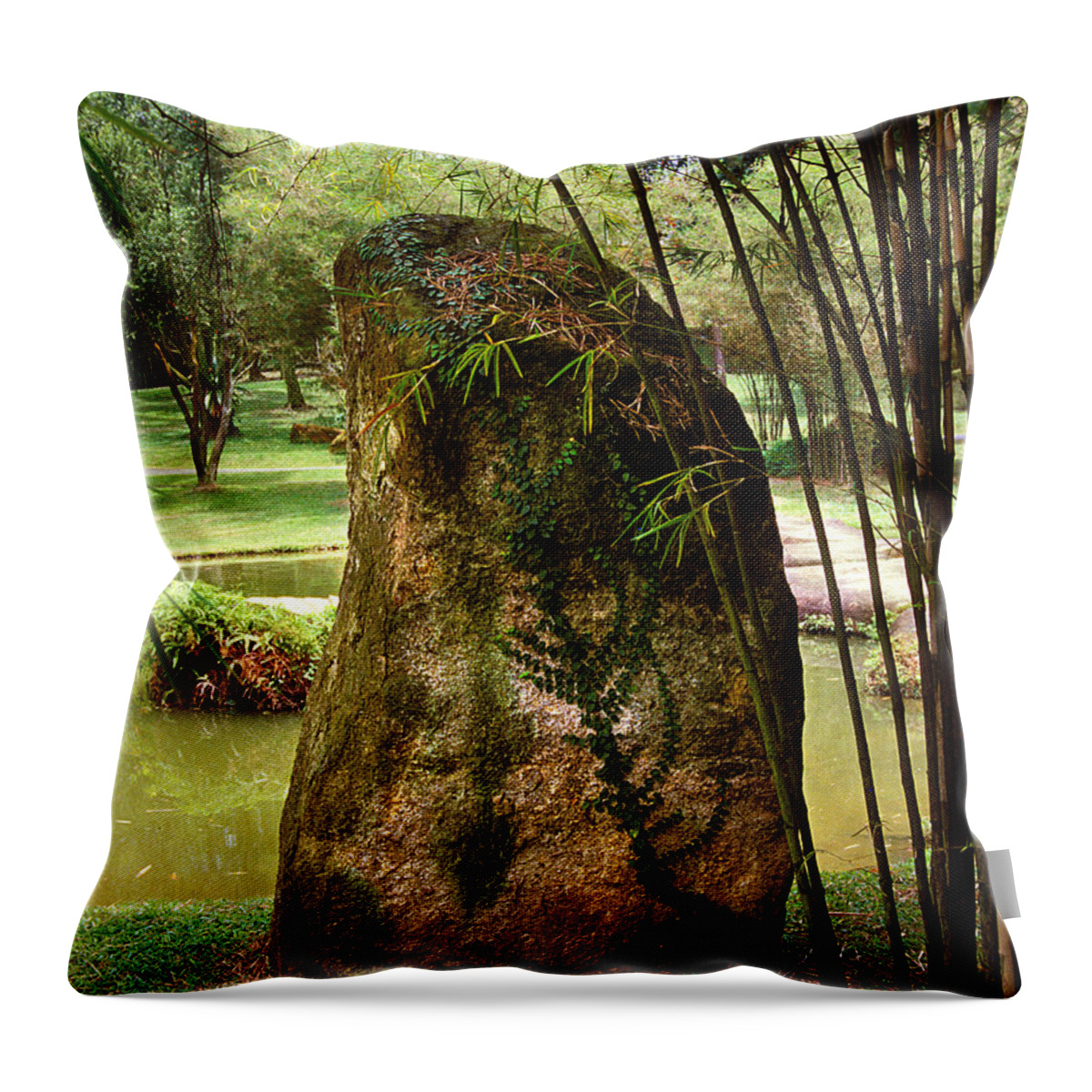 Standing Stone Throw Pillow featuring the photograph Standing Stone with Fern and Bamboo 19A by Gerry Gantt