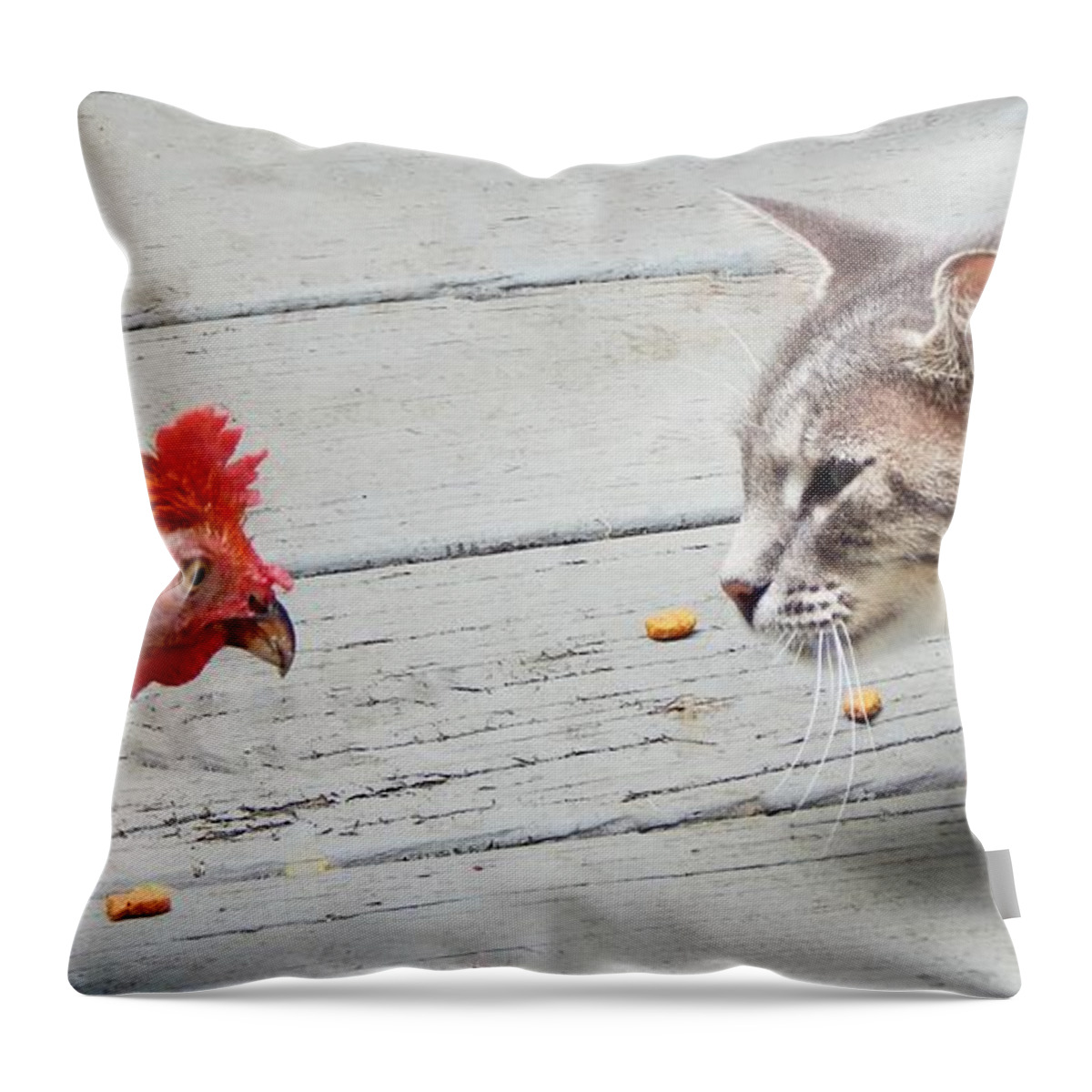 Animals Funny Comical Cat Chicken Feline Food Pet Pets Wild Chicken Rooster Throw Pillow featuring the photograph Standoff by Jan Gelders