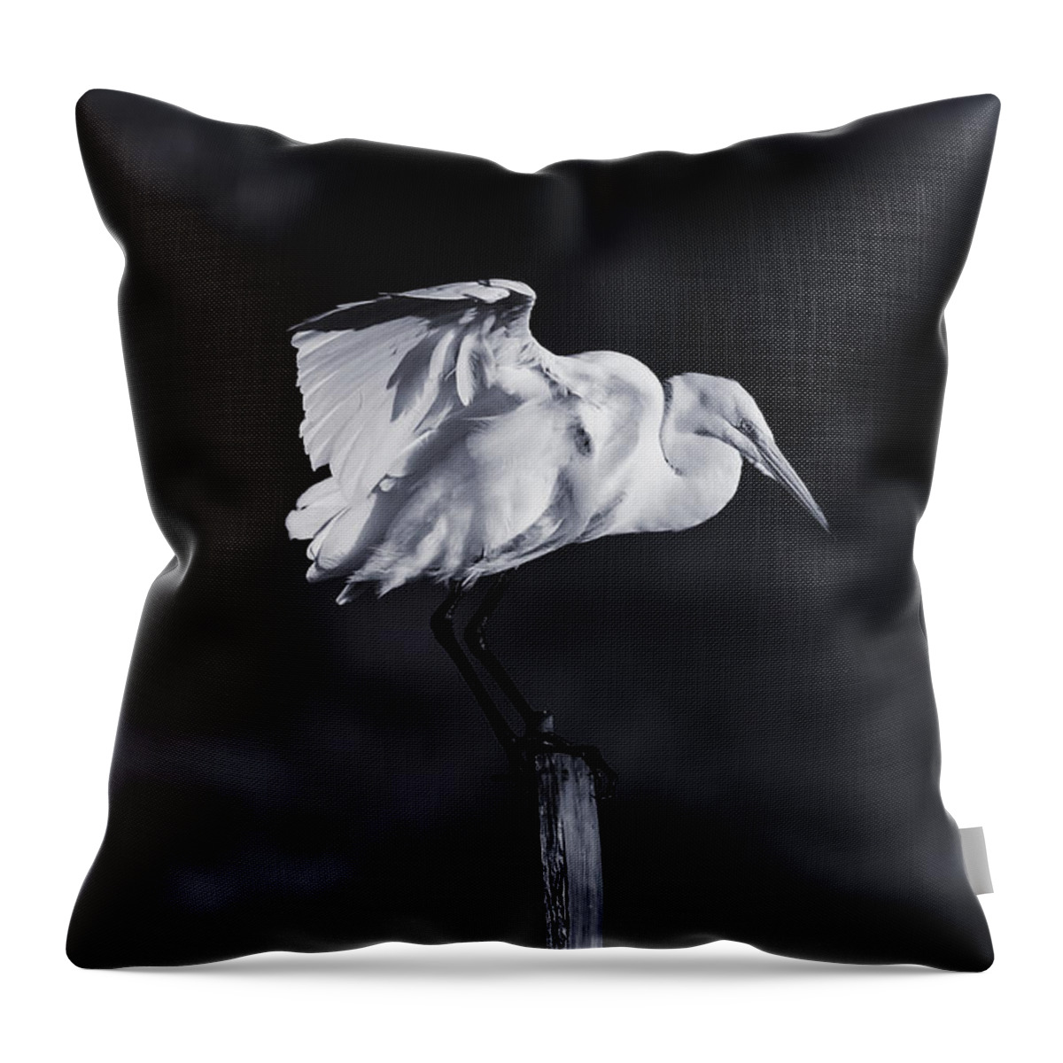 Central California Coast Throw Pillow featuring the photograph Stands Alone by Bill Roberts