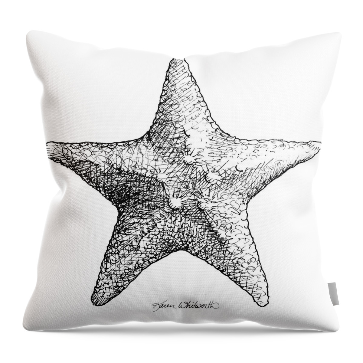 starfish and shells sketch engraving vector illustration, Stock Vector,  Vector And Low Budget Royalty Free Image. Pic. ESY-058931942 | agefotostock