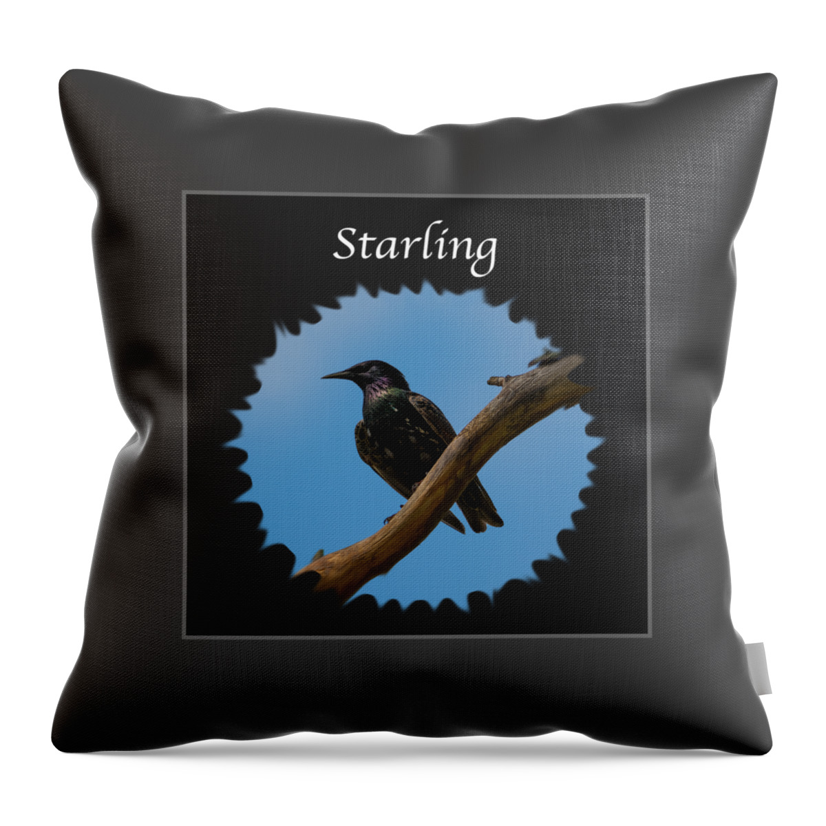 Starling Throw Pillow featuring the photograph Starling  by Holden The Moment