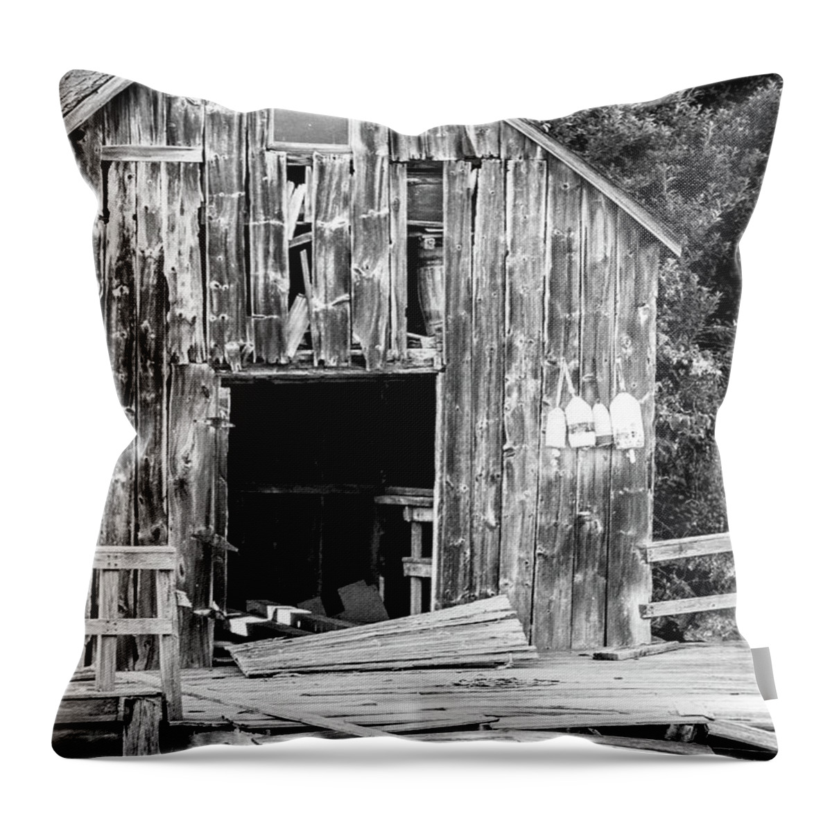 Black And White Throw Pillow featuring the photograph Still Standing by Darryl Hendricks