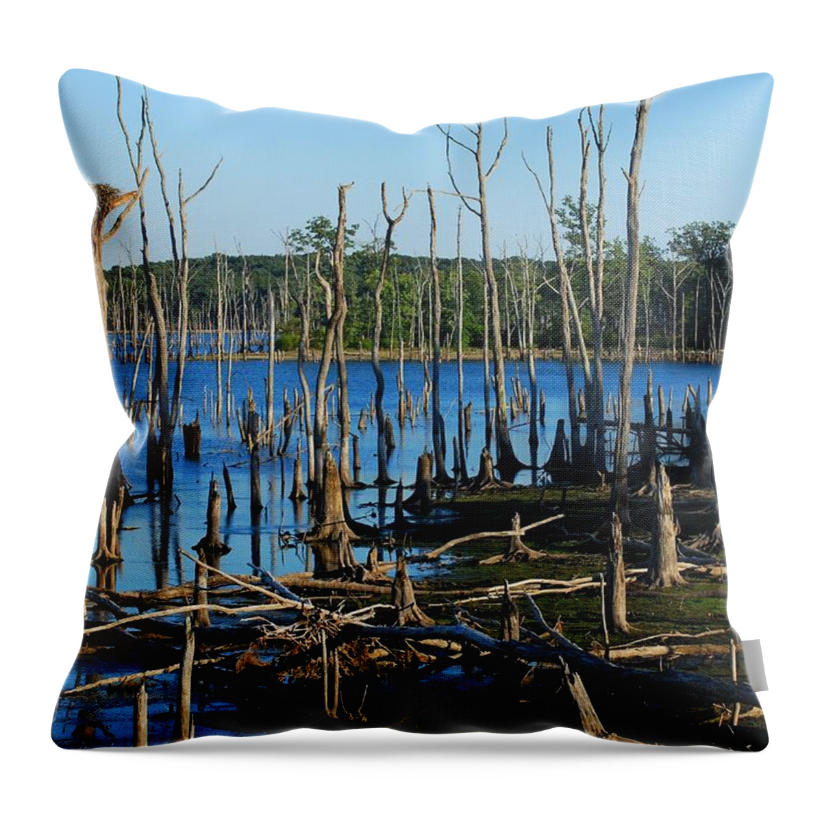New Jersey Throw Pillow featuring the photograph Still Wood - Manasquan Reservoir by Angie Tirado