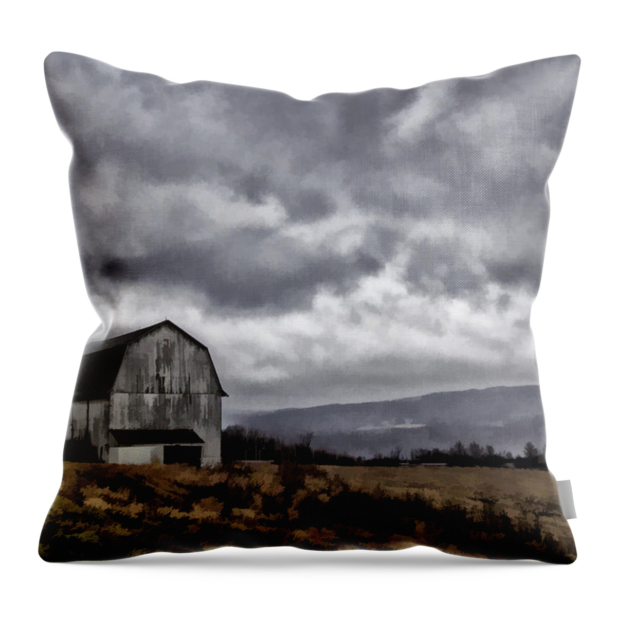 Barn Throw Pillow featuring the photograph Storm's Comin' by Monroe Payne