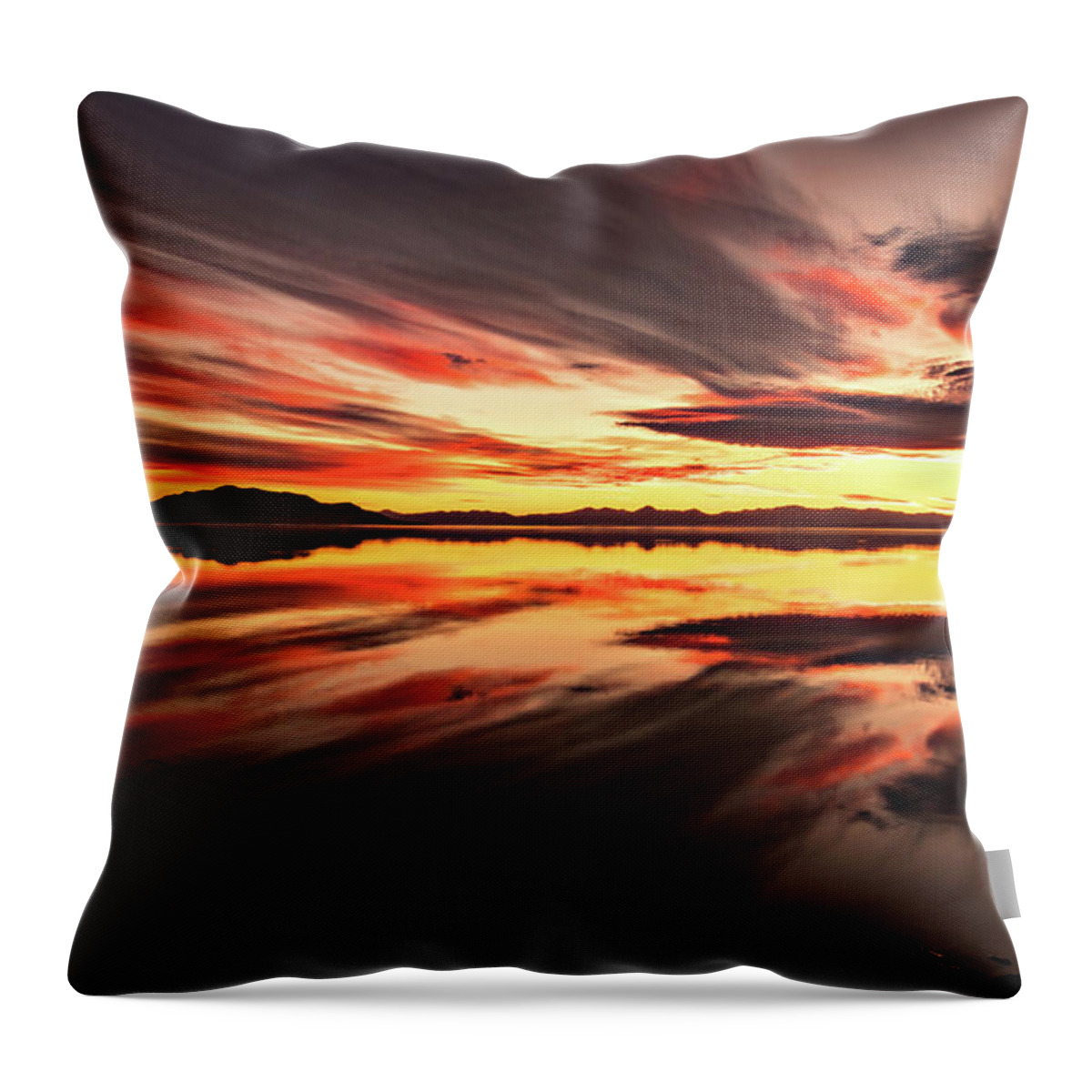 Utah Lake Throw Pillow featuring the photograph Streaks of Utah Lake by Wesley Aston