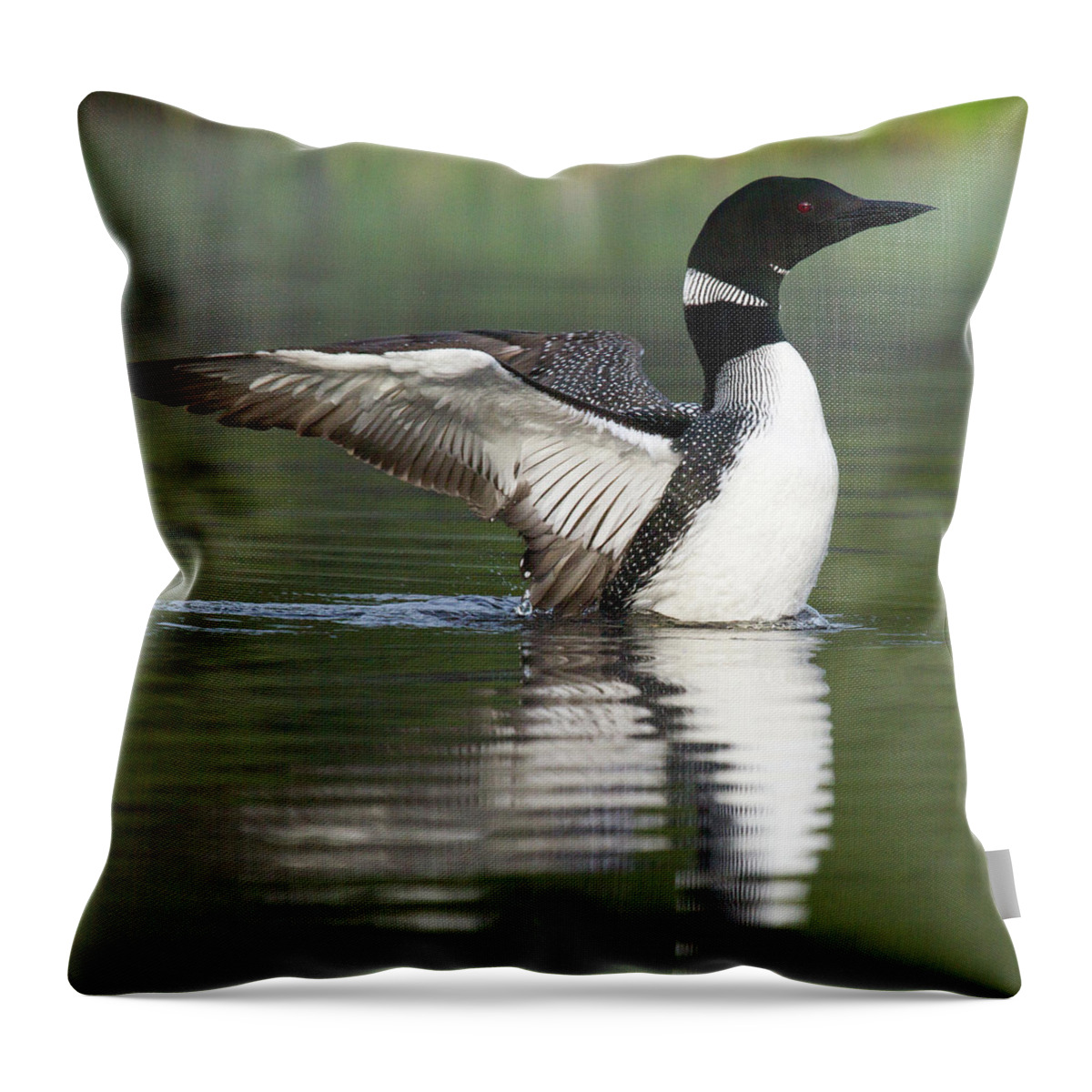 Bird Throw Pillow featuring the photograph Stretching My Wings by Darryl Hendricks